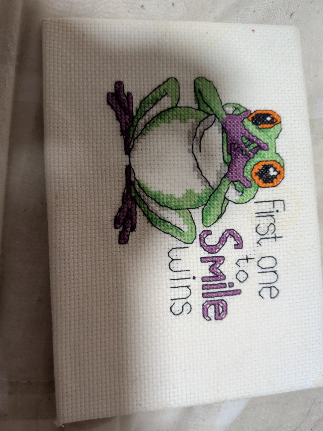Hand-stitched Cross-stitch Frog - First One to Smile Wins