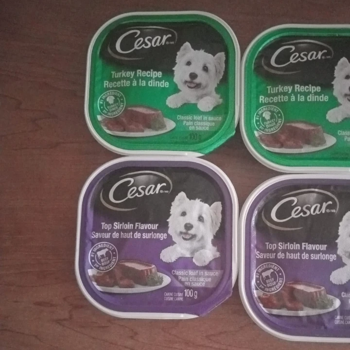 Cesar Dog Food - Turkey & Top Sirloin Flavours (100g) 🥕
