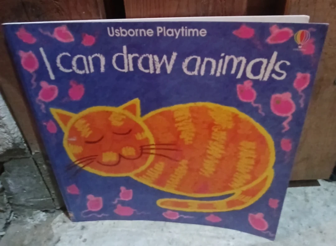 Kids Usborne Drawing Activity Books - photo 2