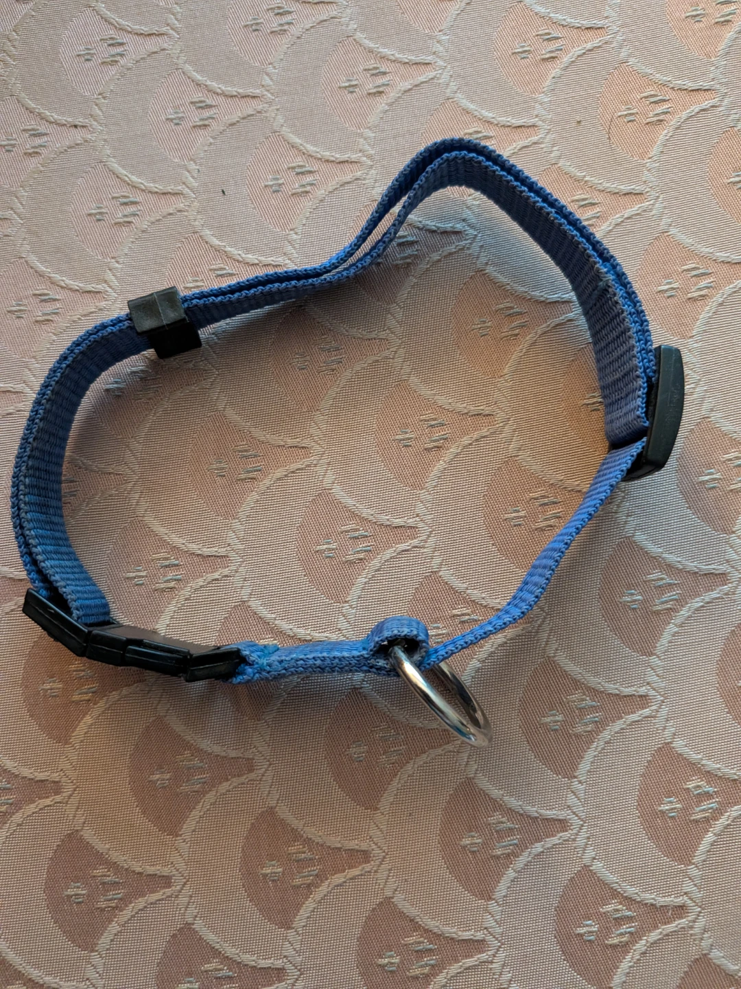 Blue Adjustable Dog Collar