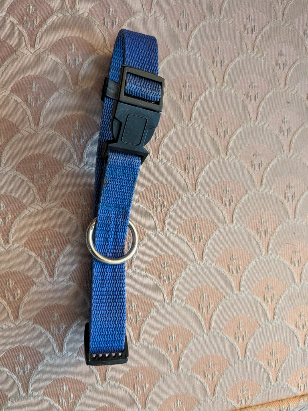 Blue Adjustable Dog Collar - photo 2