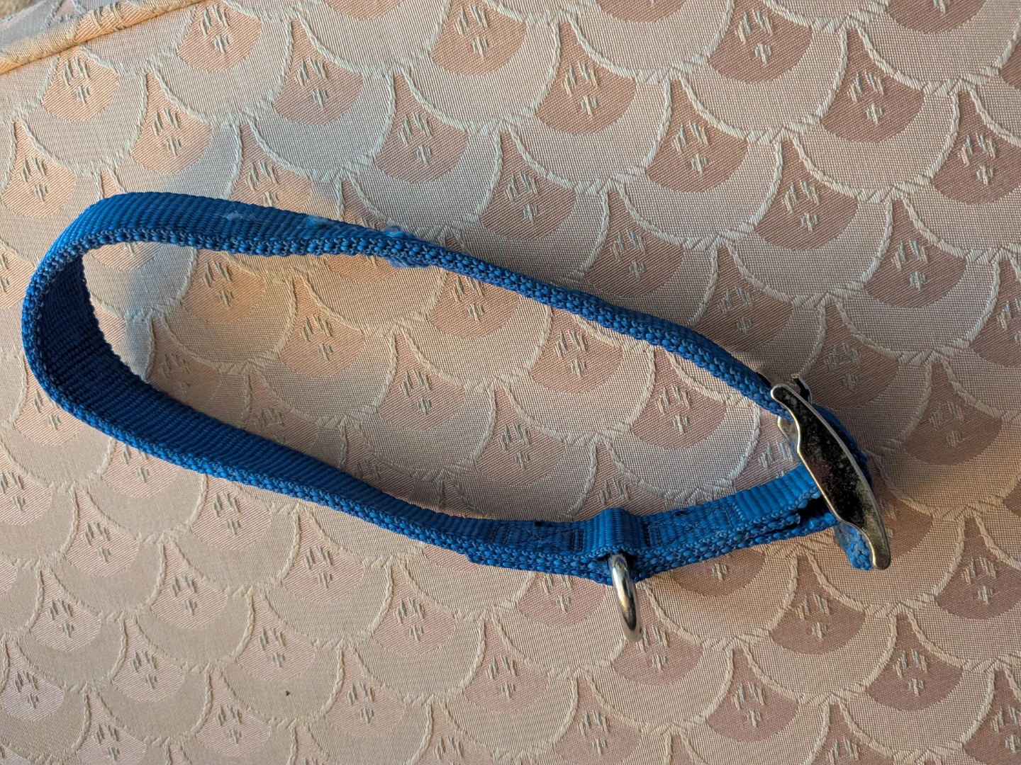 Blue Adjustable Dog Collar - photo 4