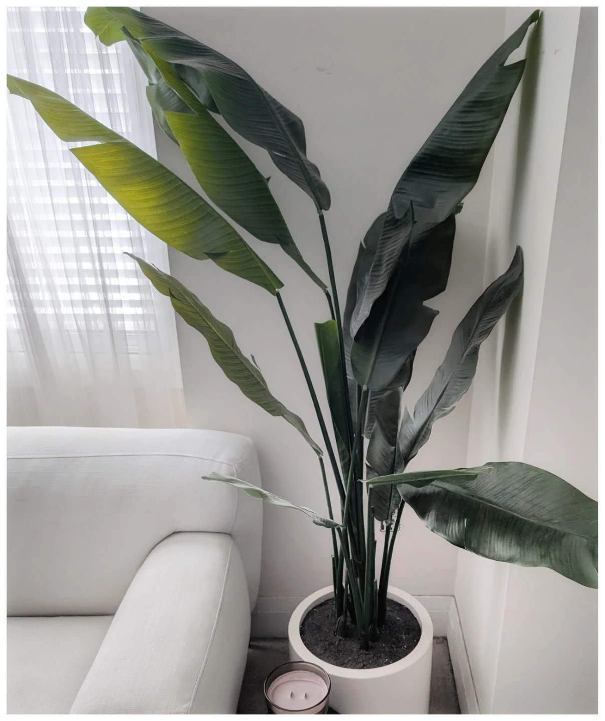 Large faux plant in a pot