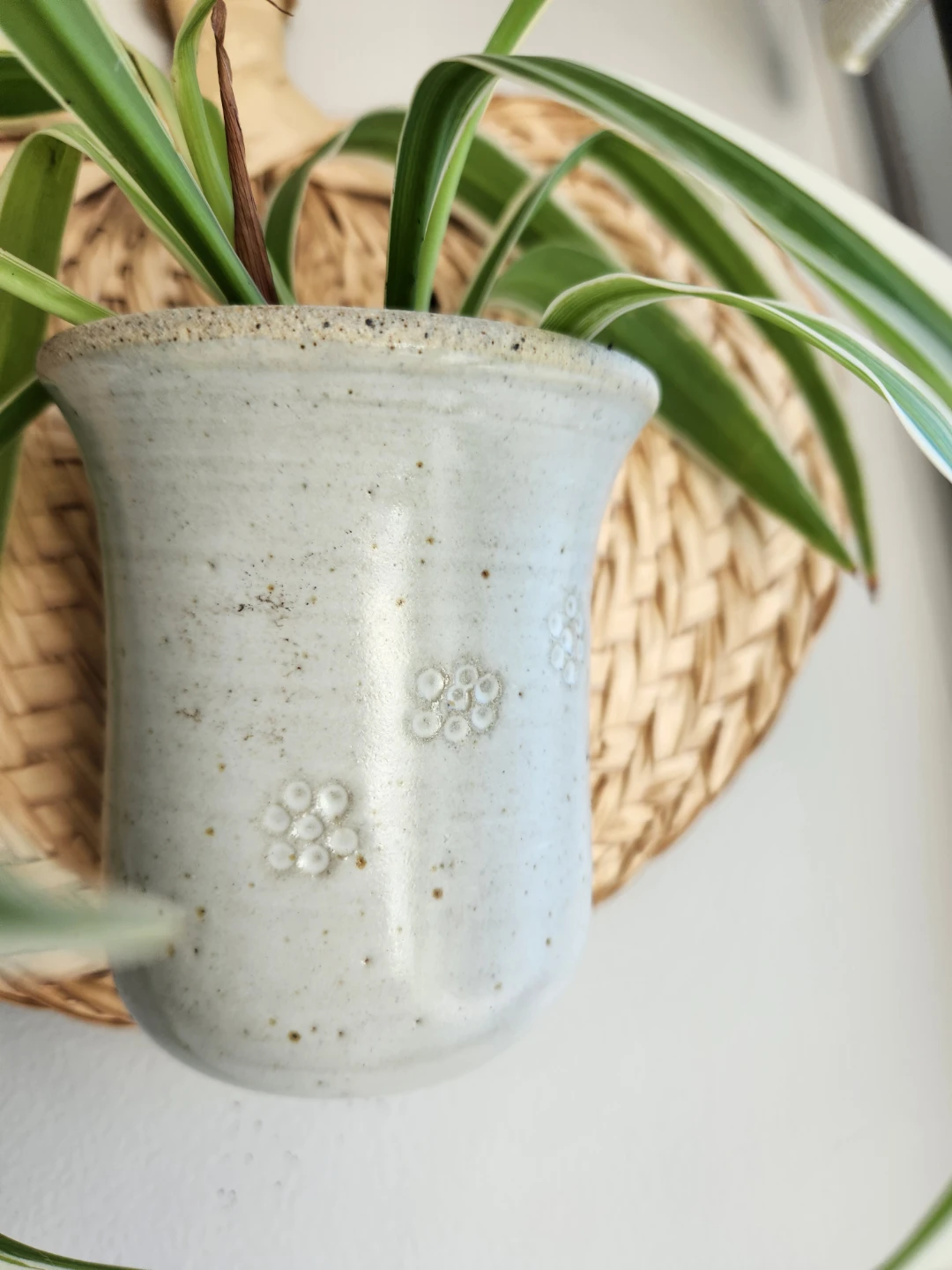 Boho chic natural rattan  pottery wall hanging with spider plant - photo 2