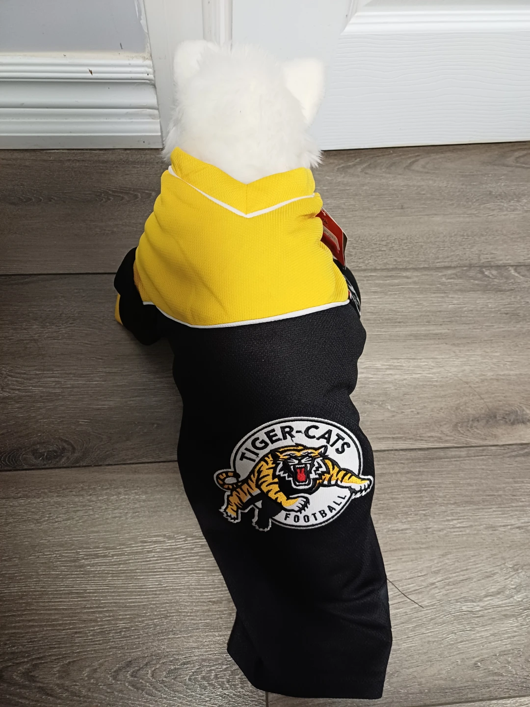 Hamilton Tiger-Cats Dog Jersey - photo 5