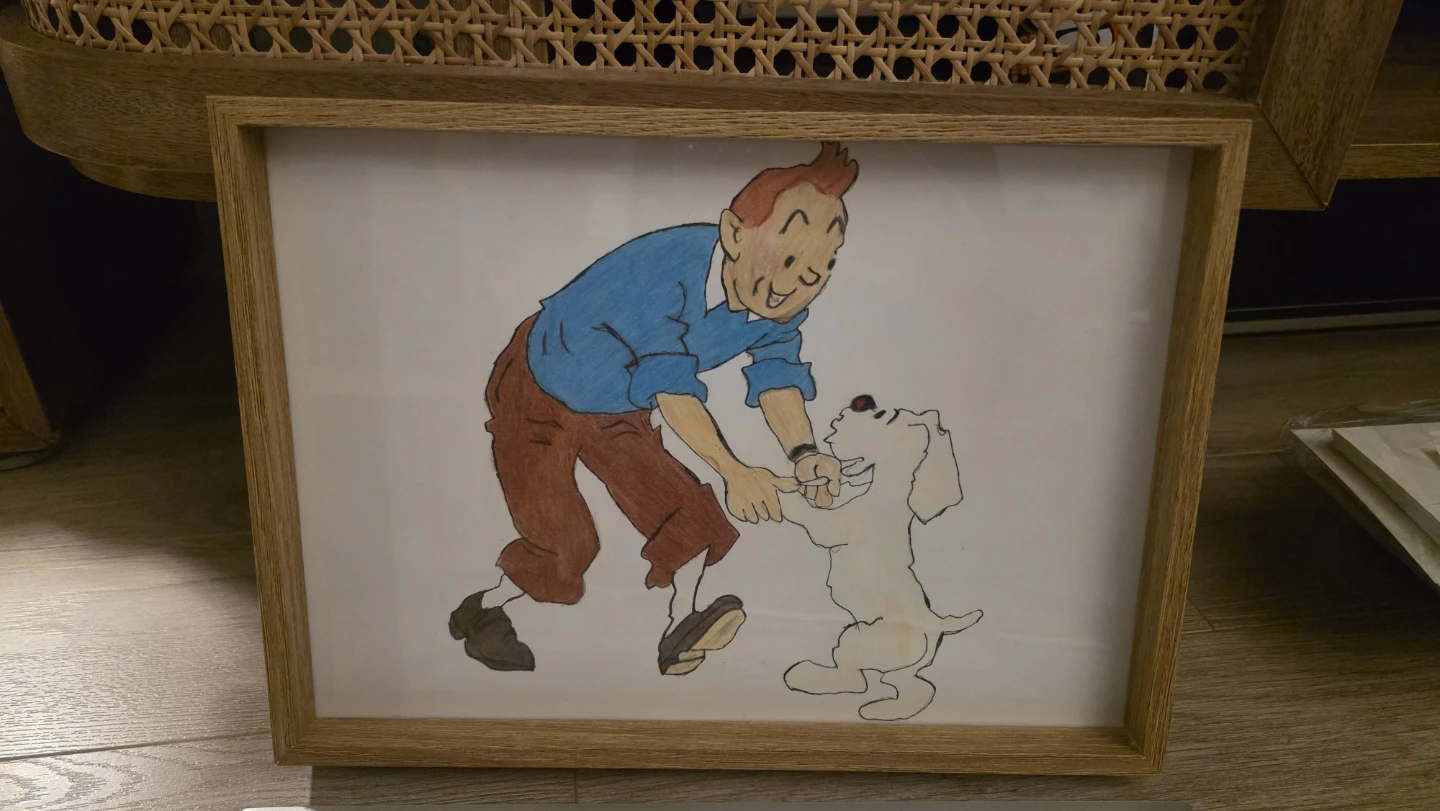 Framed Drawings: Different artworks