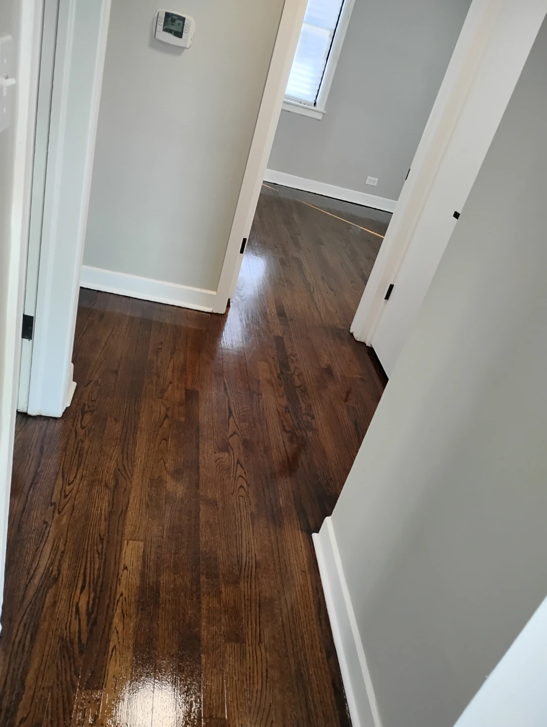 ABN SWEDISH FINISH FOR PROS Floor Cleaner - photo 5