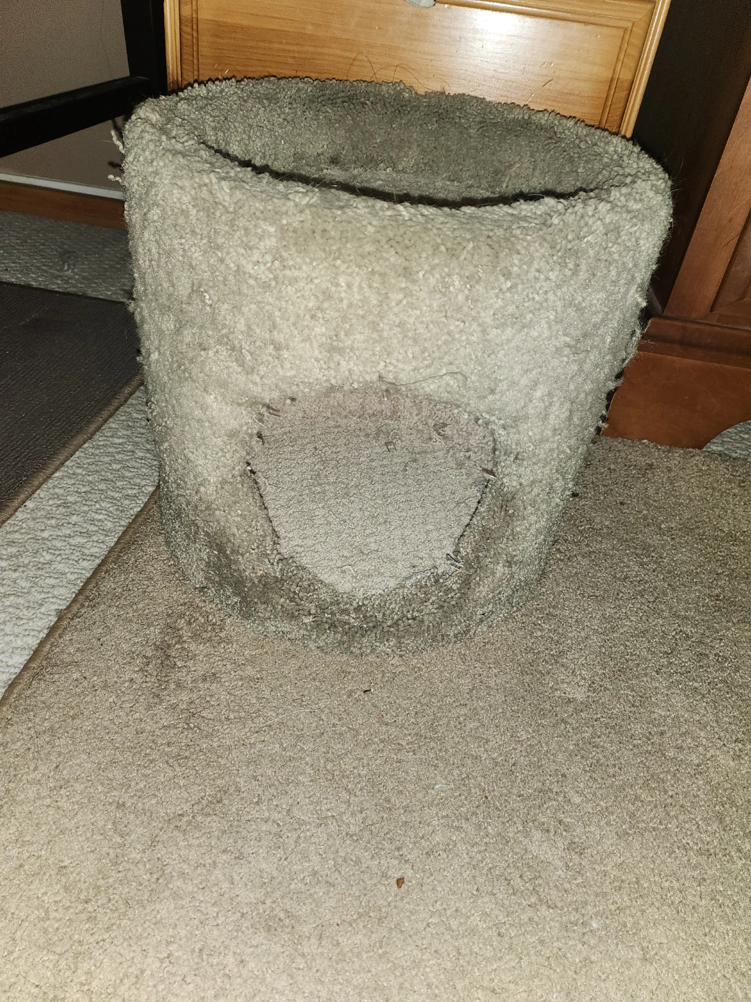 Cat House