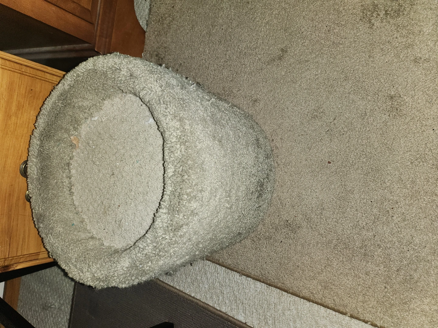 Cat House - photo 2