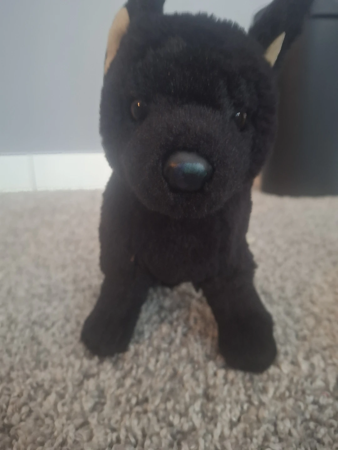 Black Plush Dog Toy