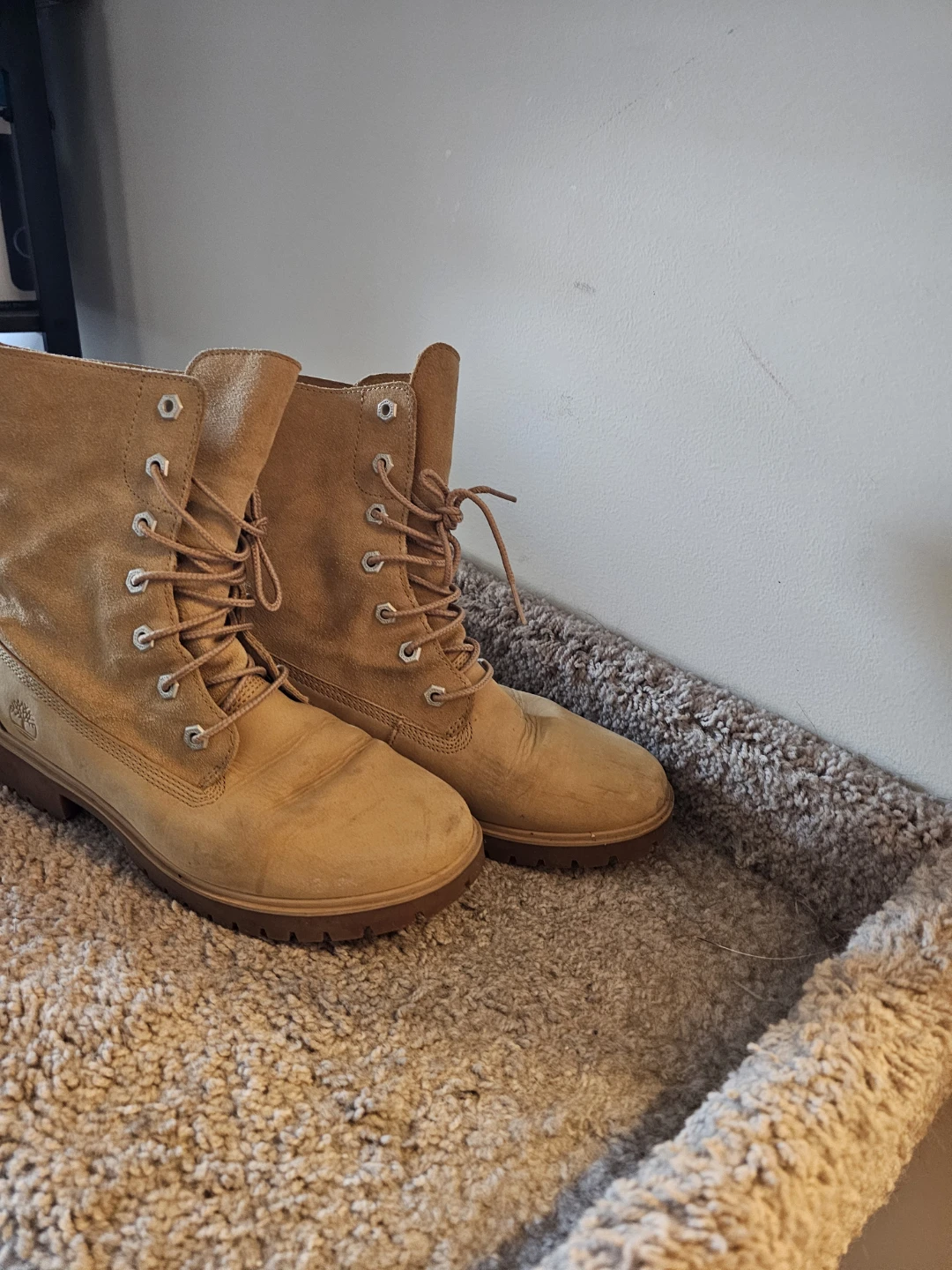 Timberland Women's Lace-Up Suede Boots