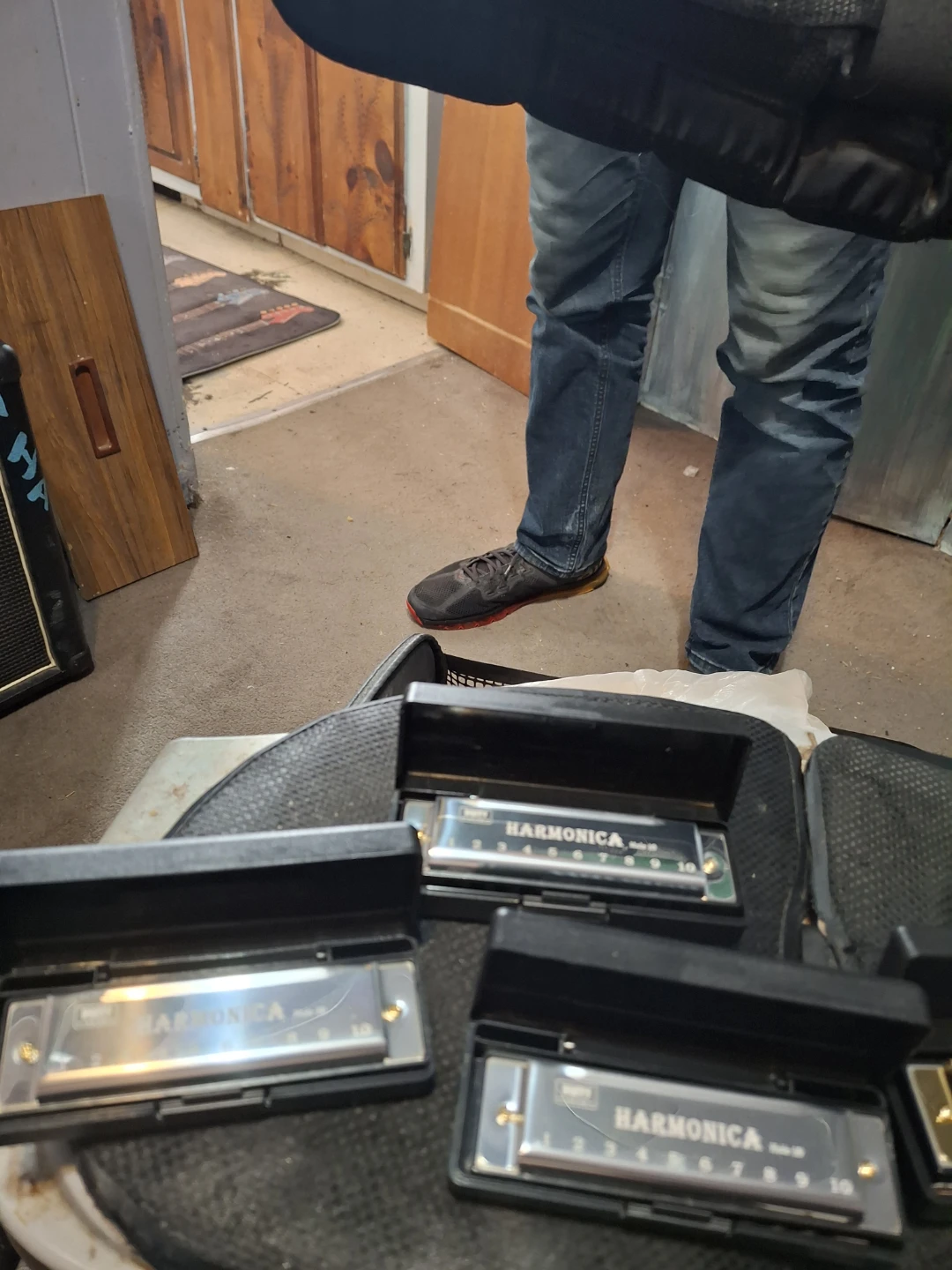 Harmonica - 10 Hole - photo 3