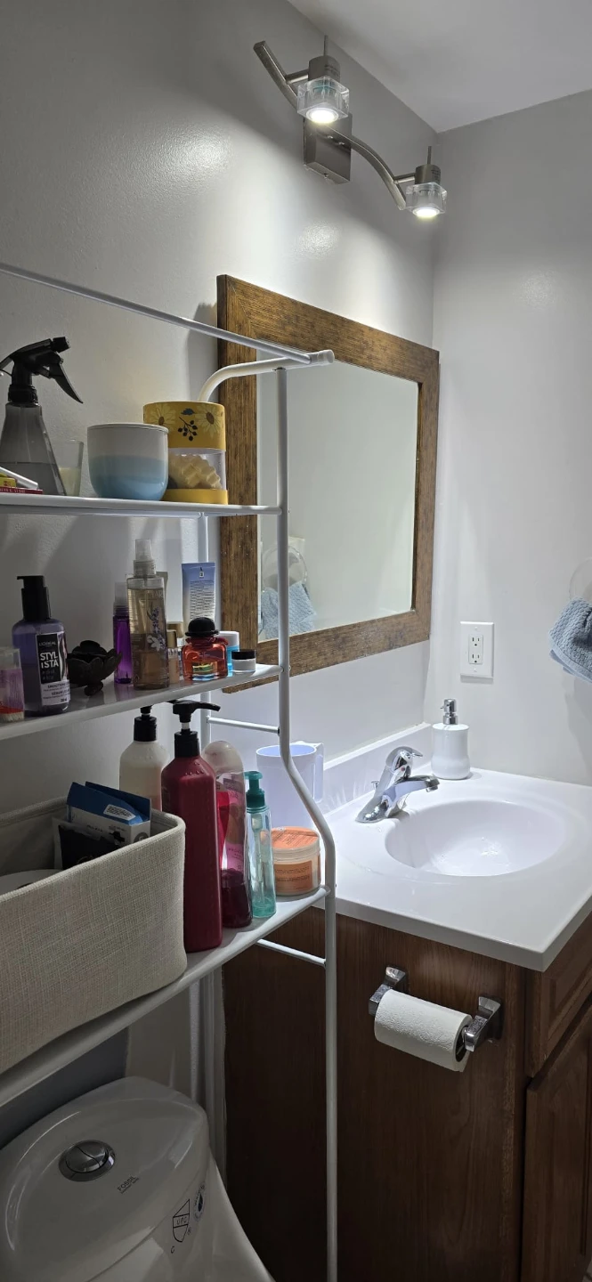 White Metal Toilet Shelf Organizer