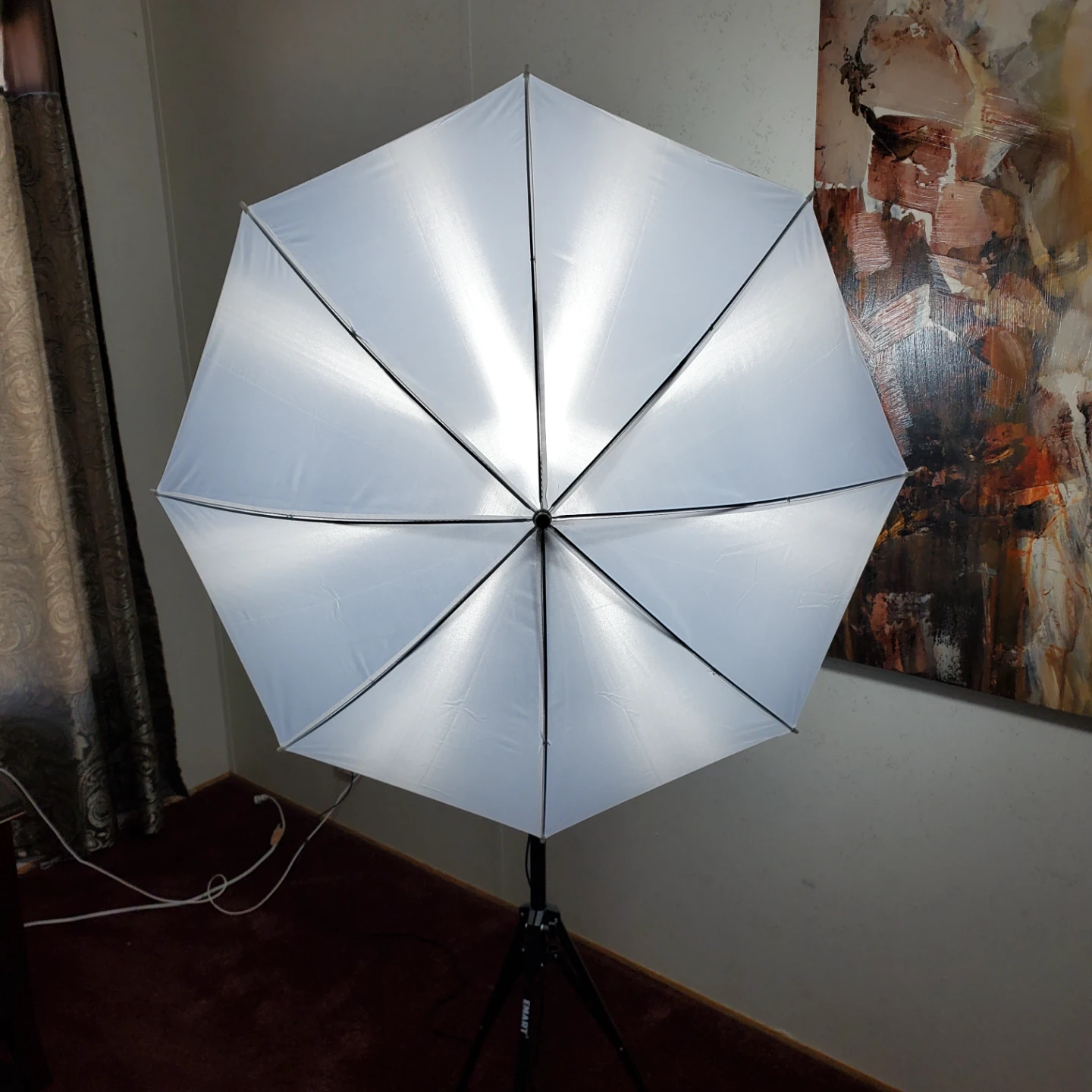 EMART Photography Lighting Umbrella Kit