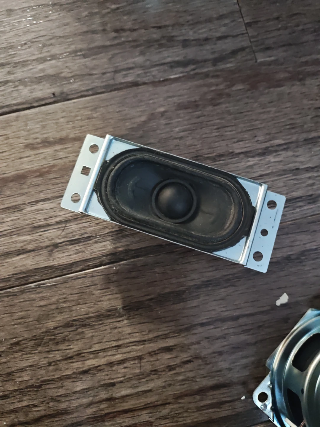 Oval Speaker Driver - photo 2
