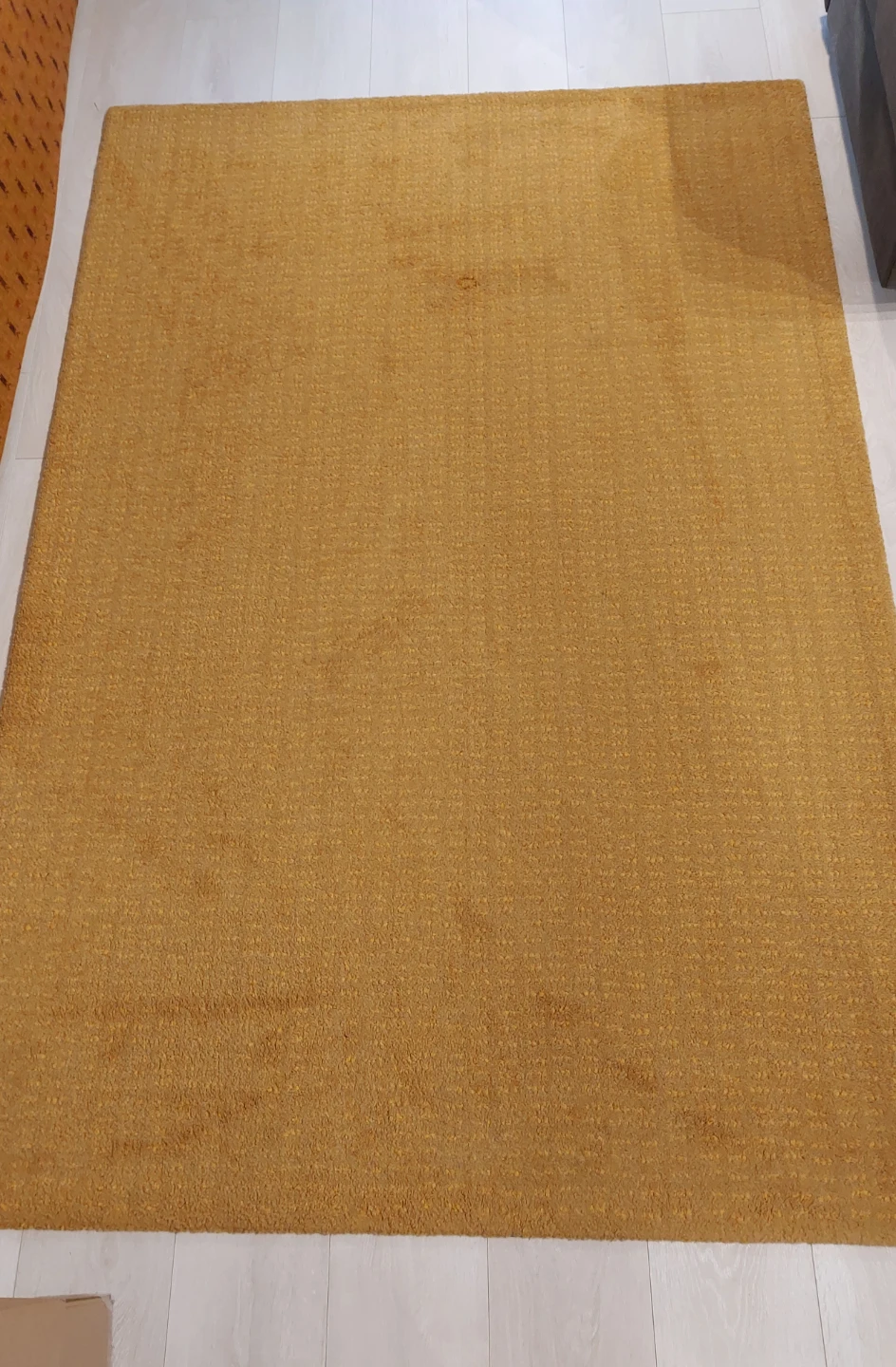 Moving Sale!! Mustard Yellow Area Rug - photo 4