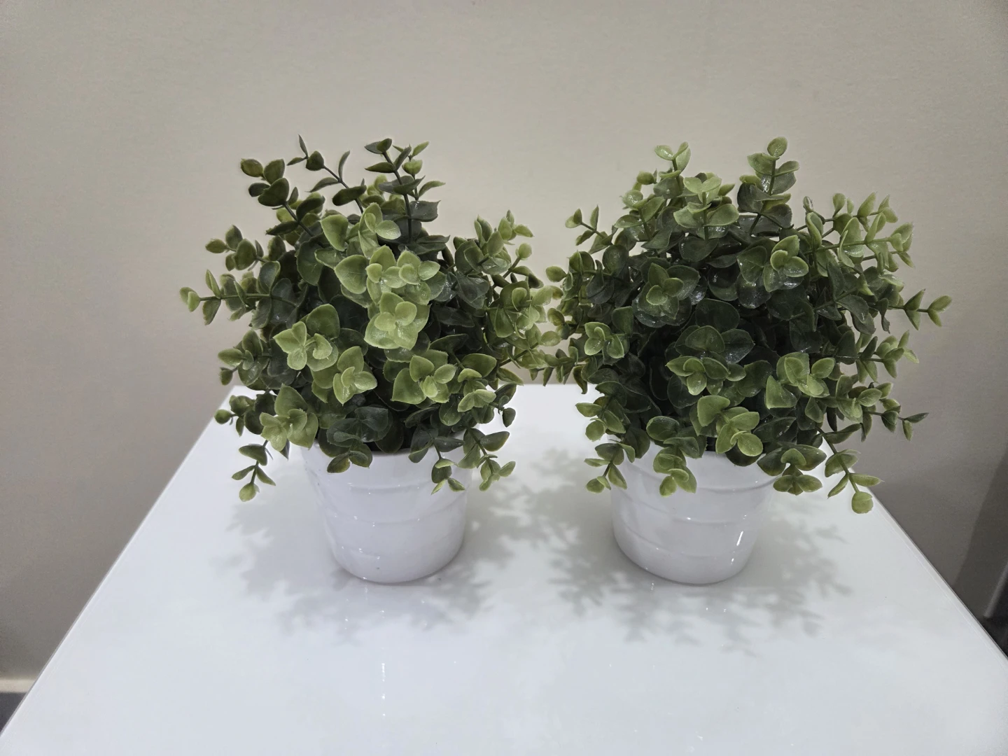 Ikea Set of 2 Faux Eucalyptus Plants in White Pots