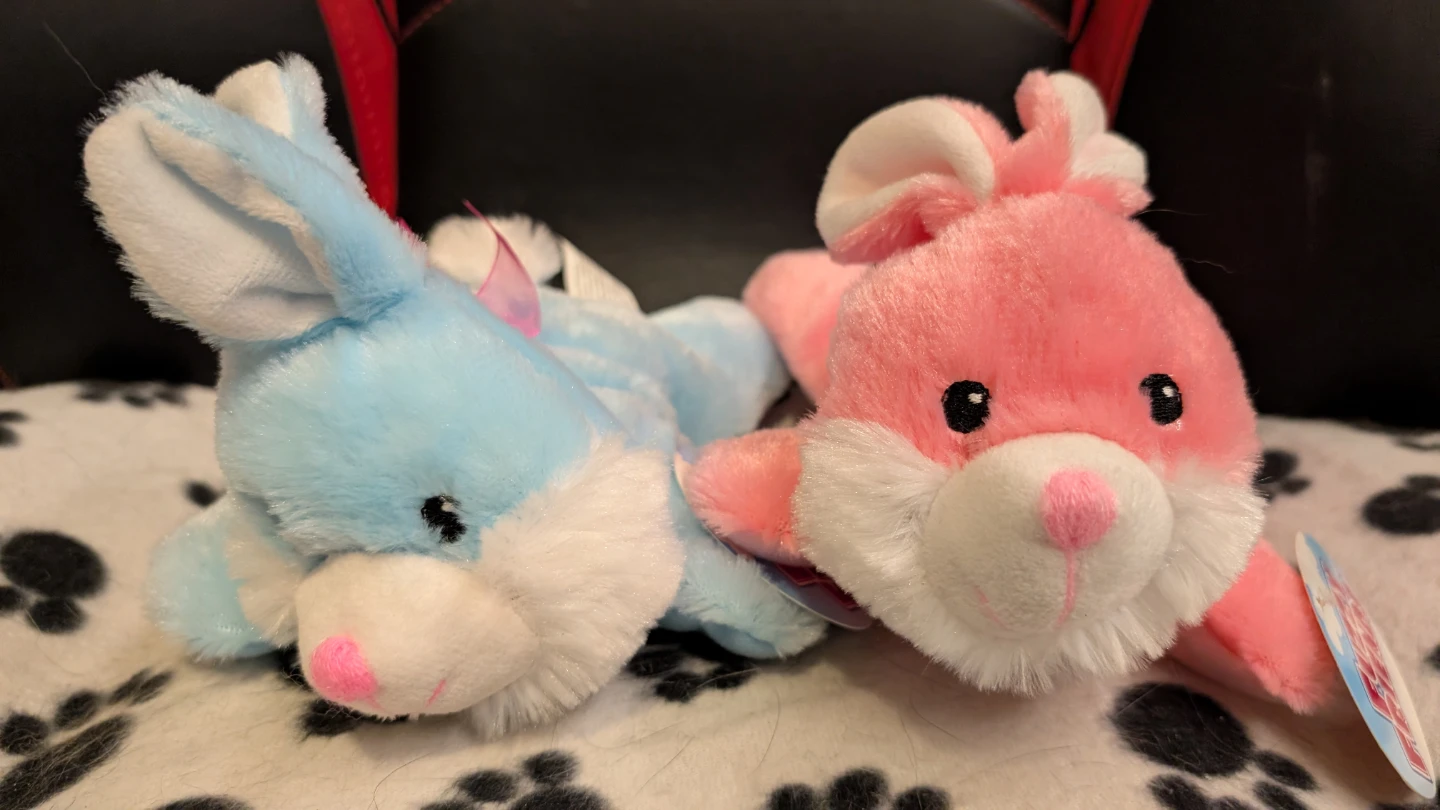 Set of 2 Plush Bunnies - Pink and Blue