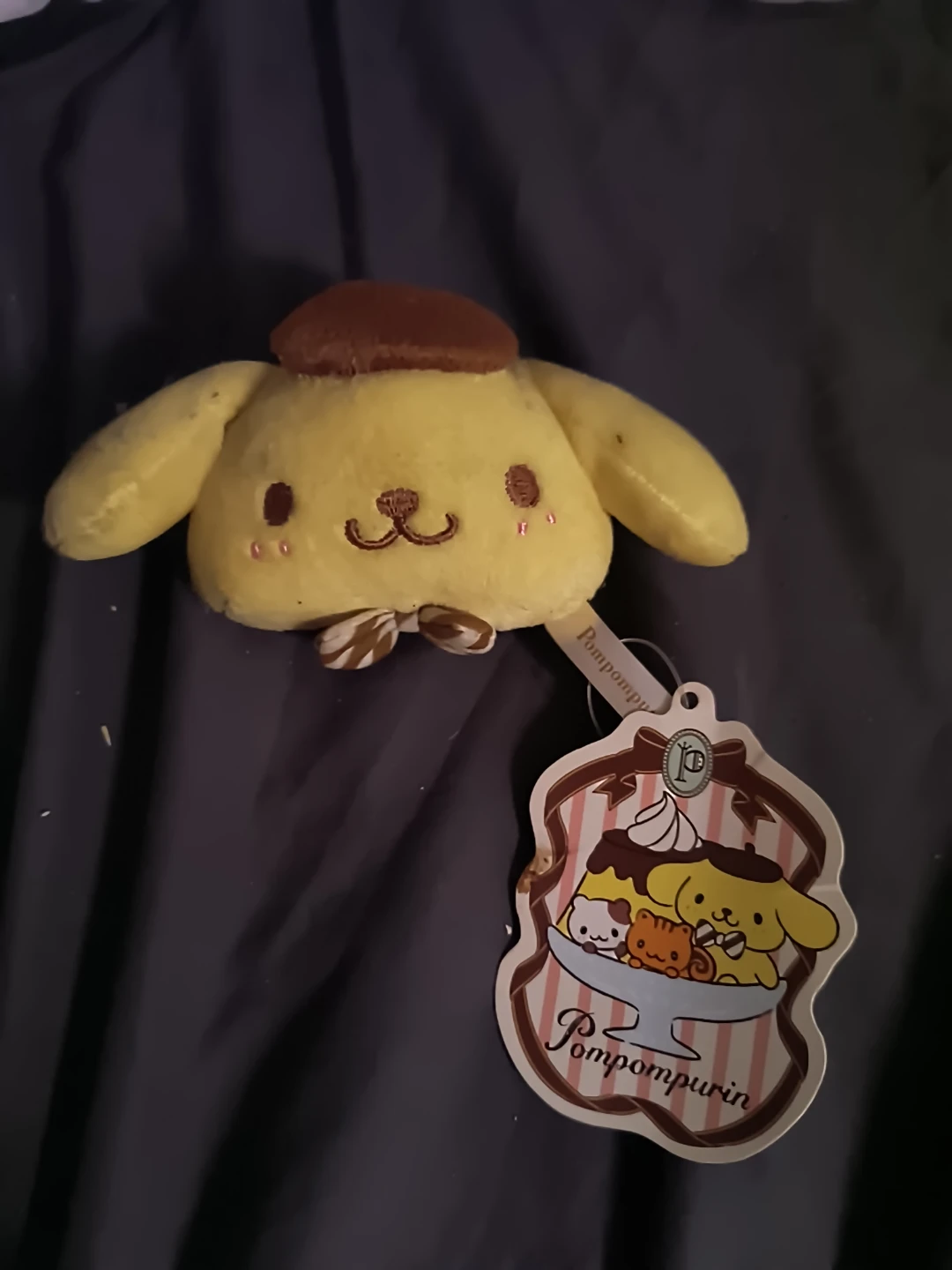Sanrio Pompompurin Plush Toy