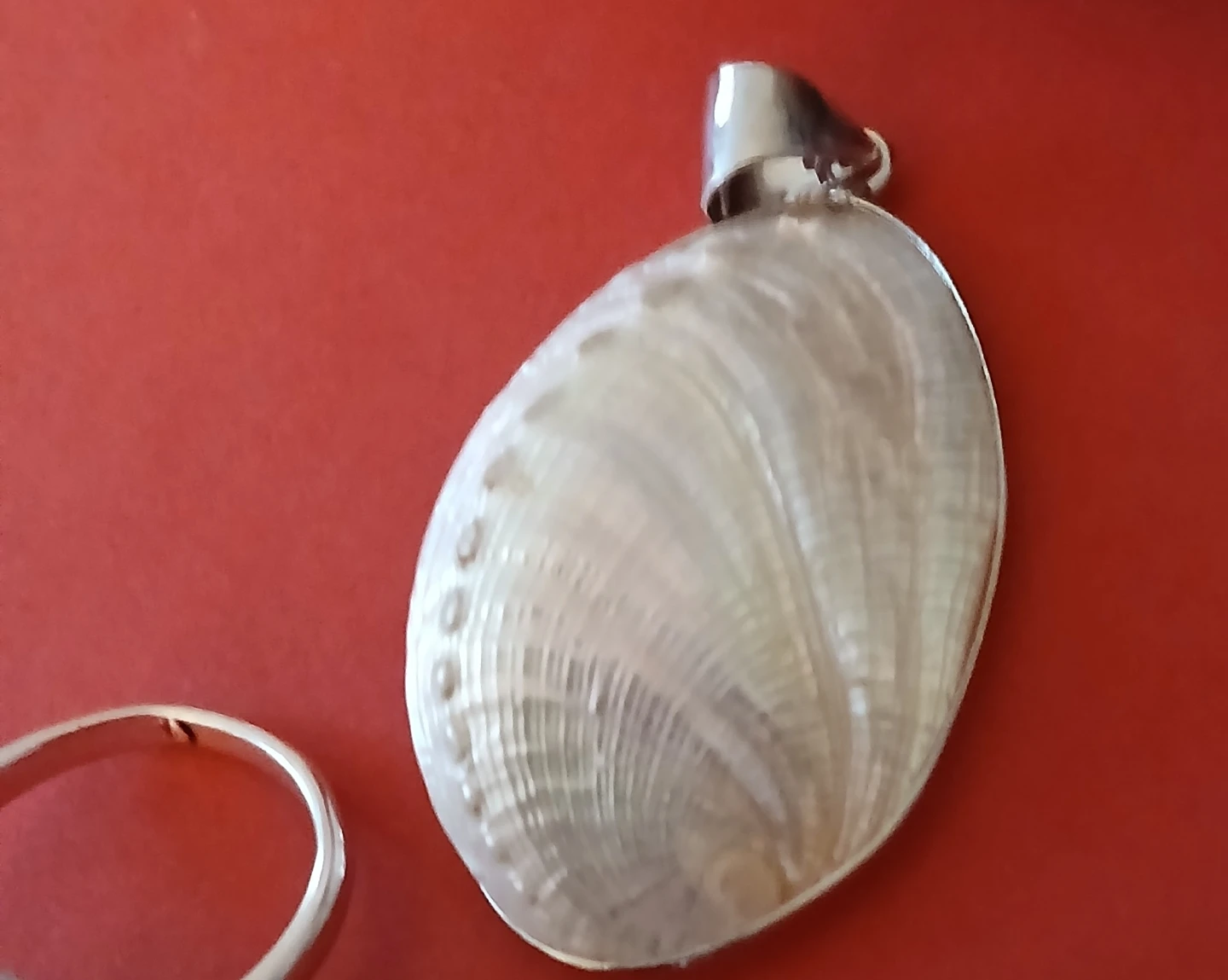 Seashell Pendant Necklace - photo 4