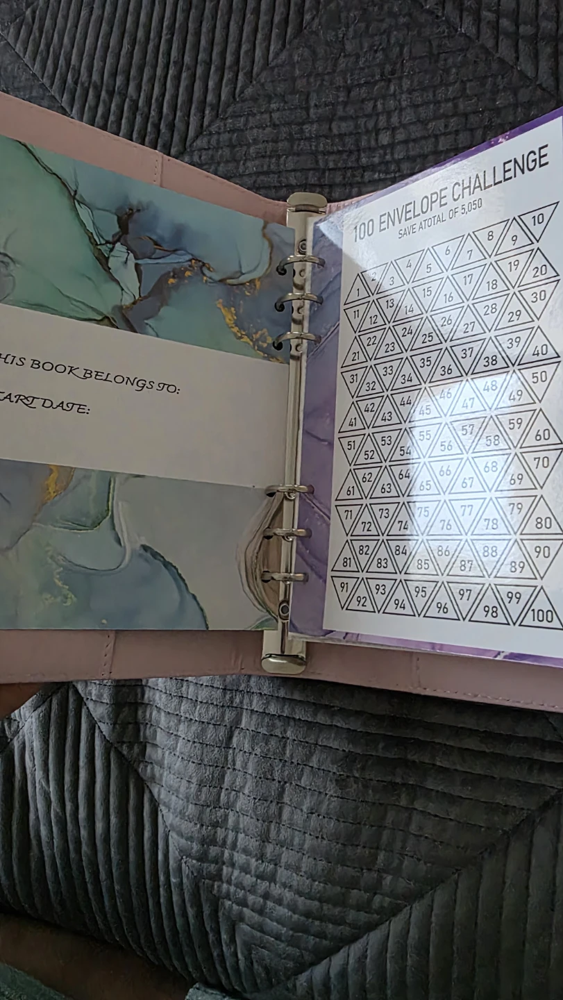 100 Envelope Savings Challenge Binder - photo 3