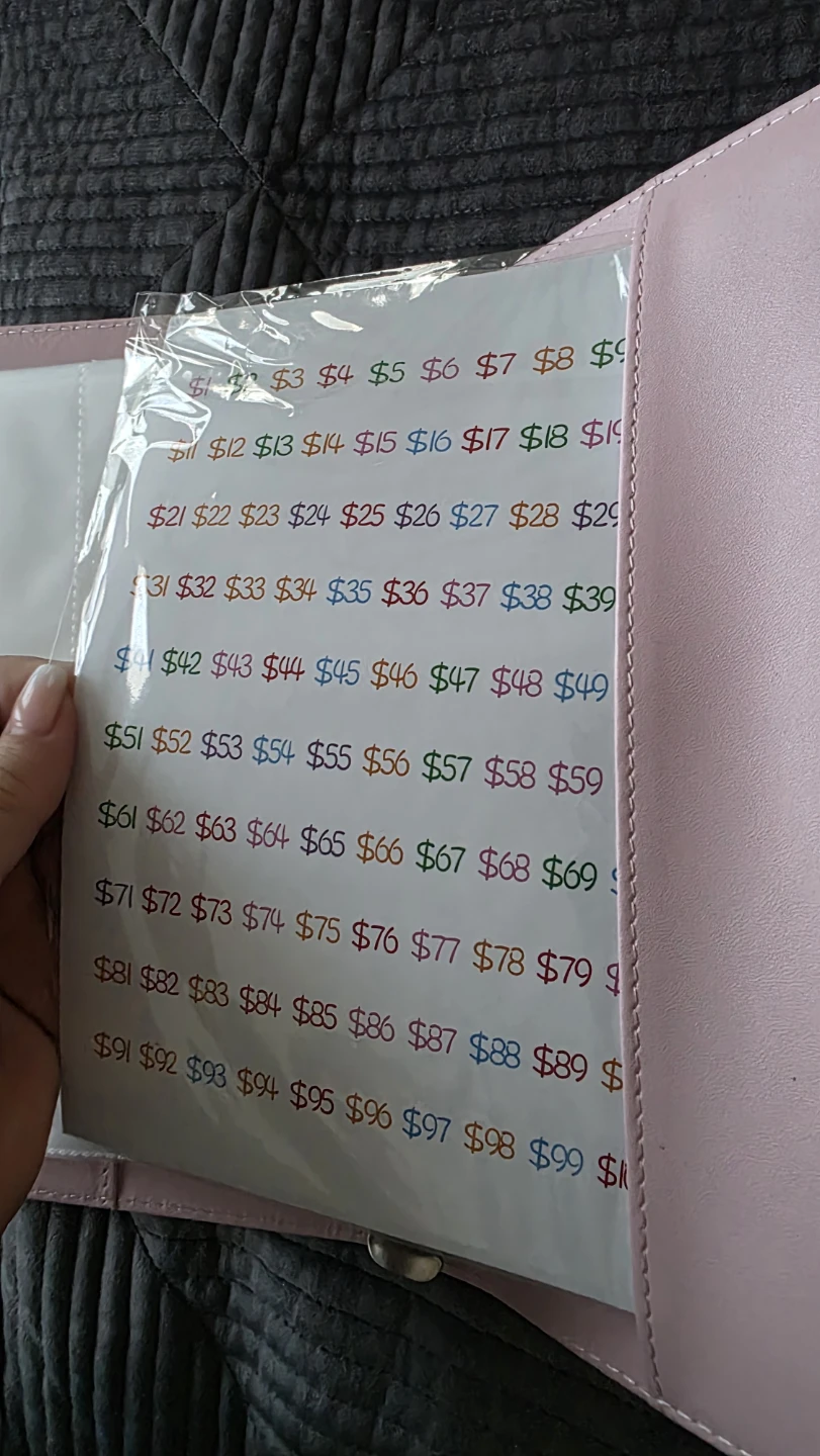 100 Envelope Savings Challenge Binder - photo 5