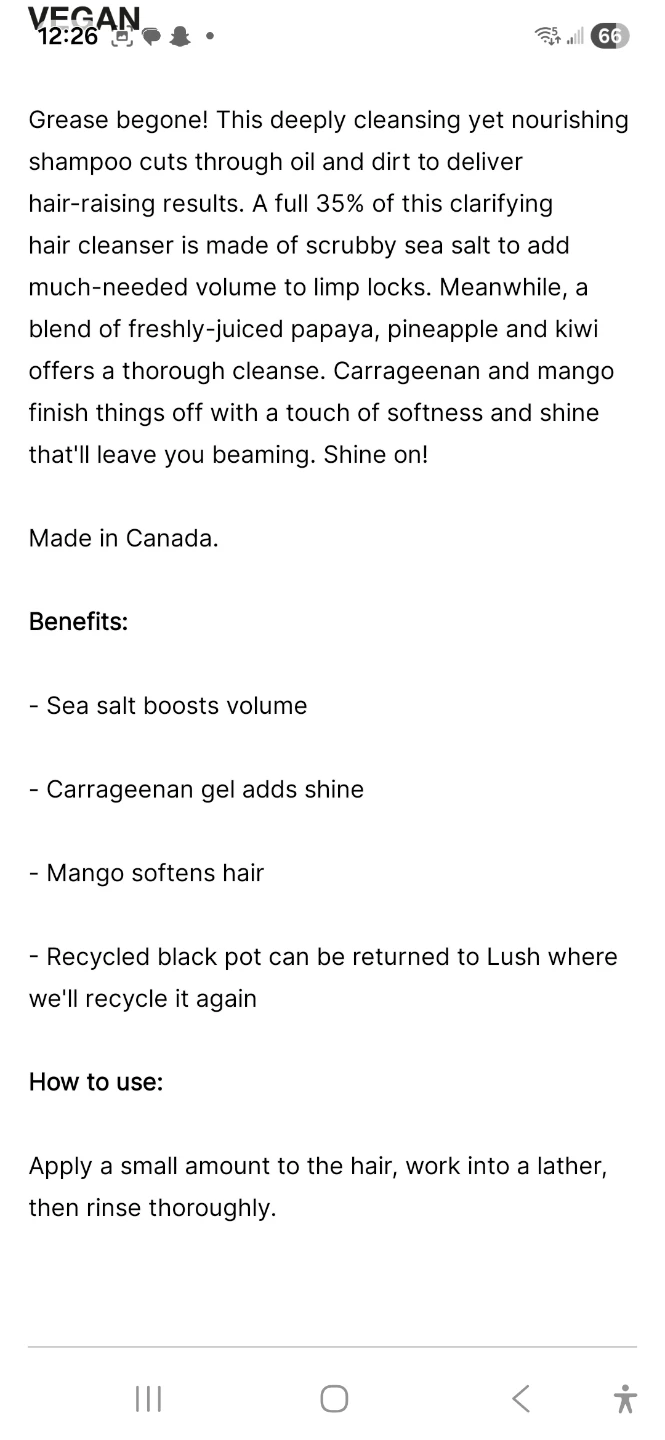Lush Squeak Shampoo 125g - photo 4