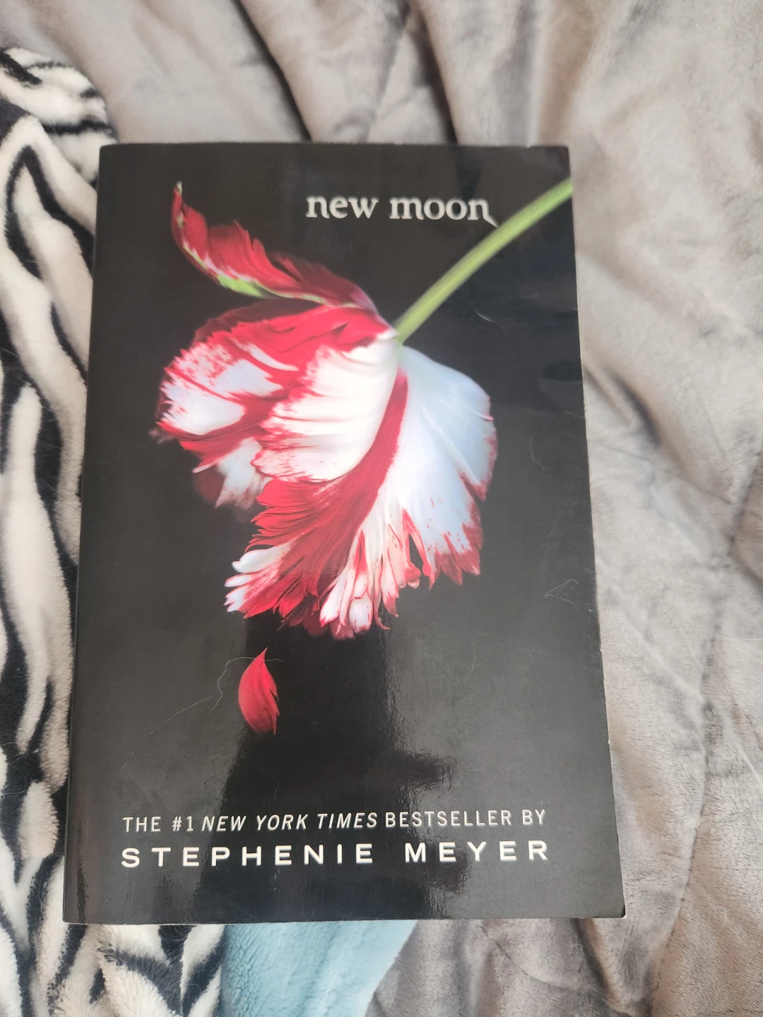 New Moon by Stephenie Meyer - The Twilight Saga