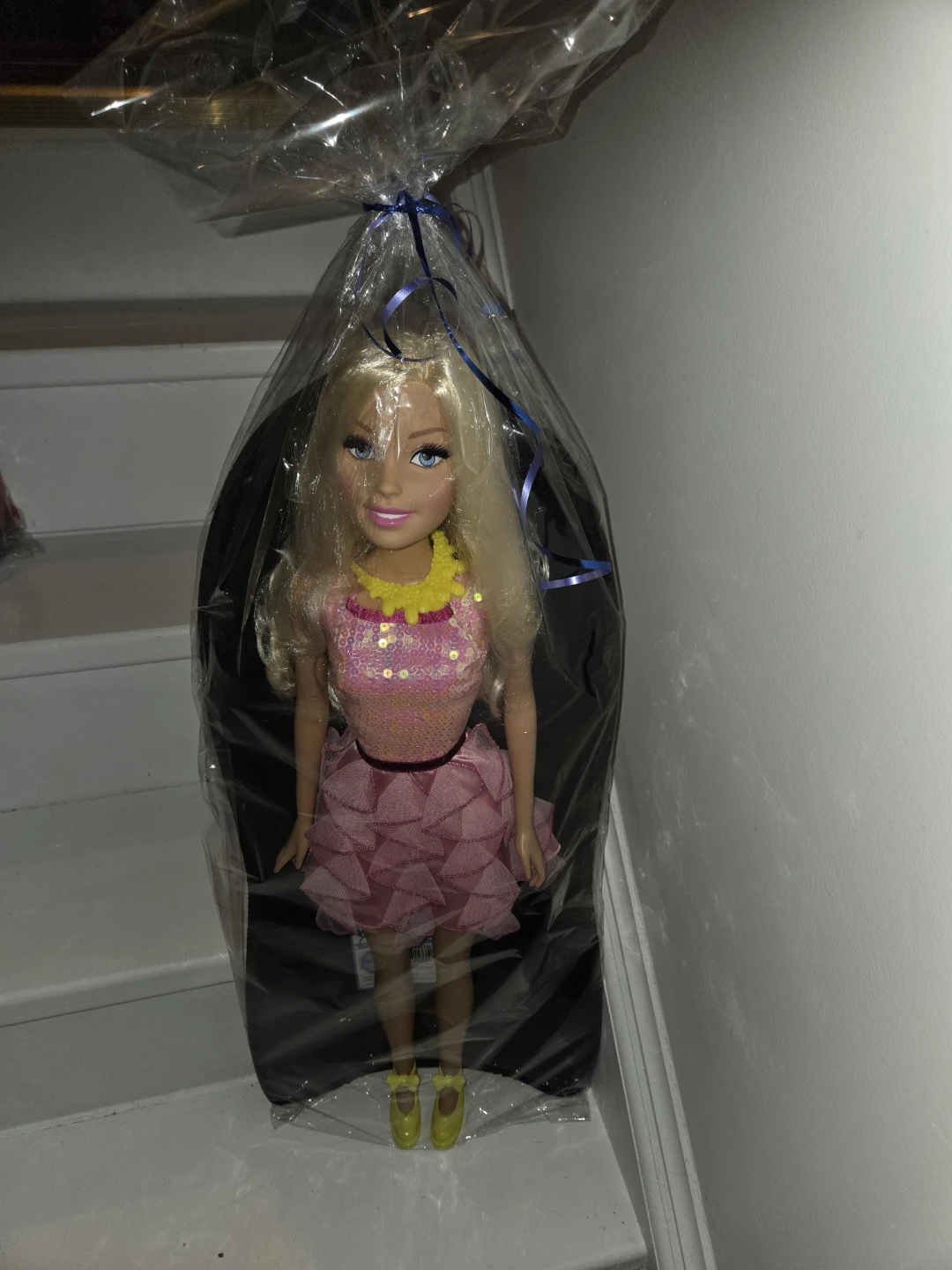 Evolve Snow Sled with Barbie Doll Gift Set