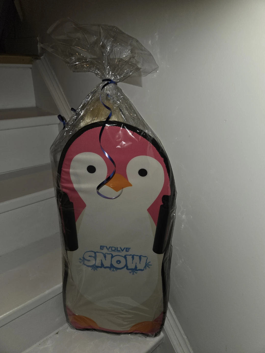 Evolve Snow Sled with Barbie Doll Gift Set - photo 2