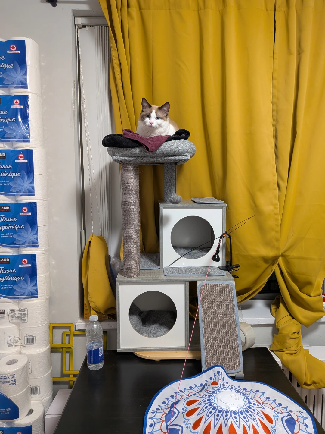 Multi-Level Cat Tree Condo with Scratching Posts - photo 2