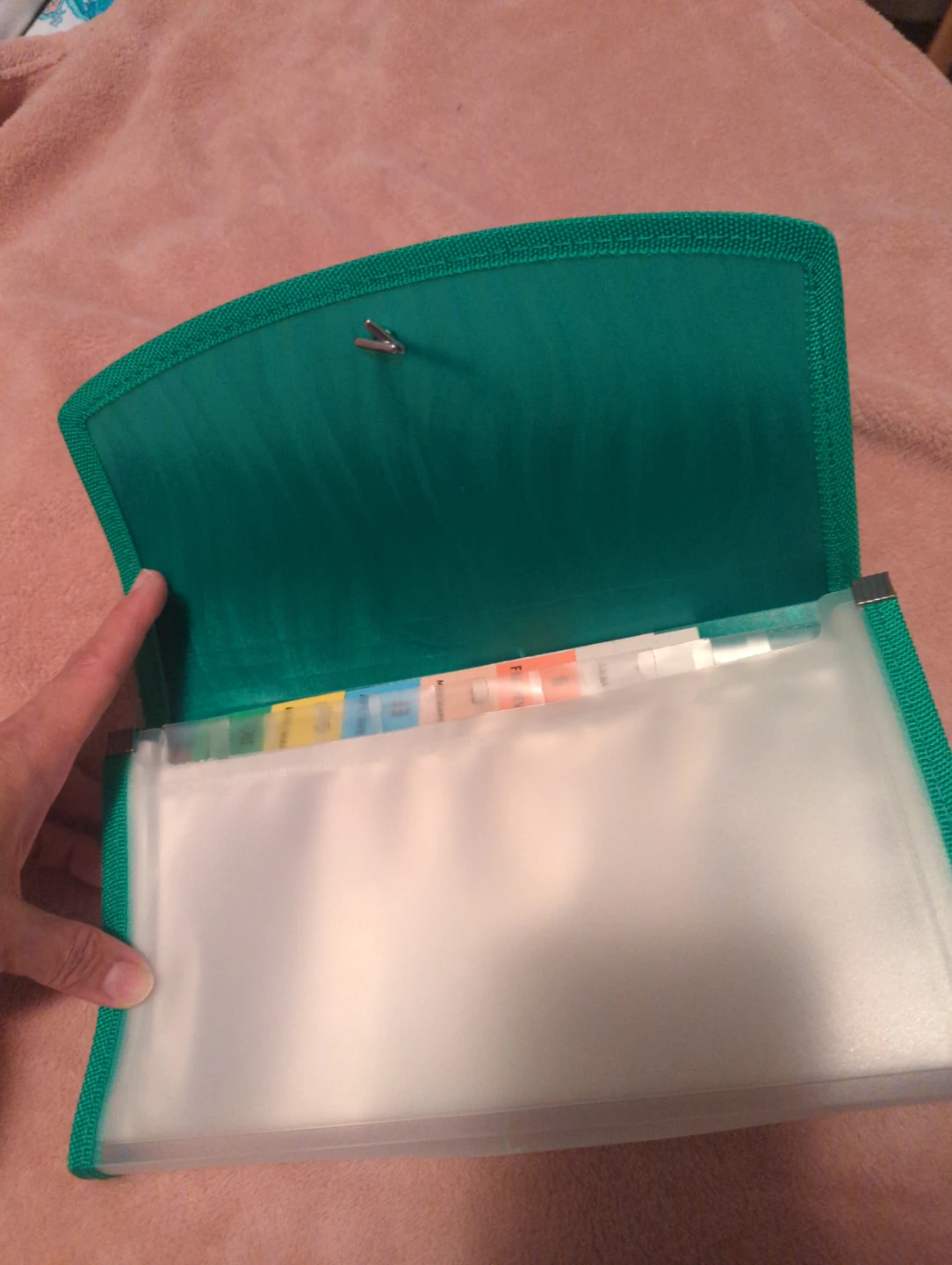 Green Expanding File Folder🥕 - photo 3