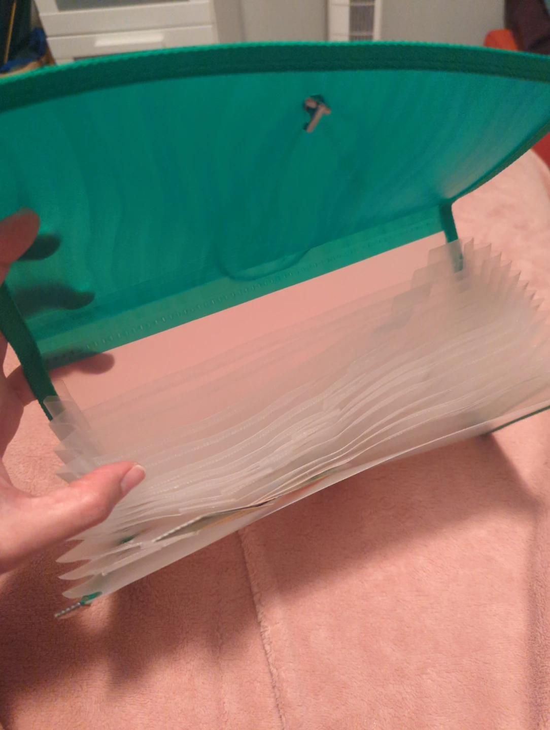 Green Expanding File Folder🥕 - photo 4