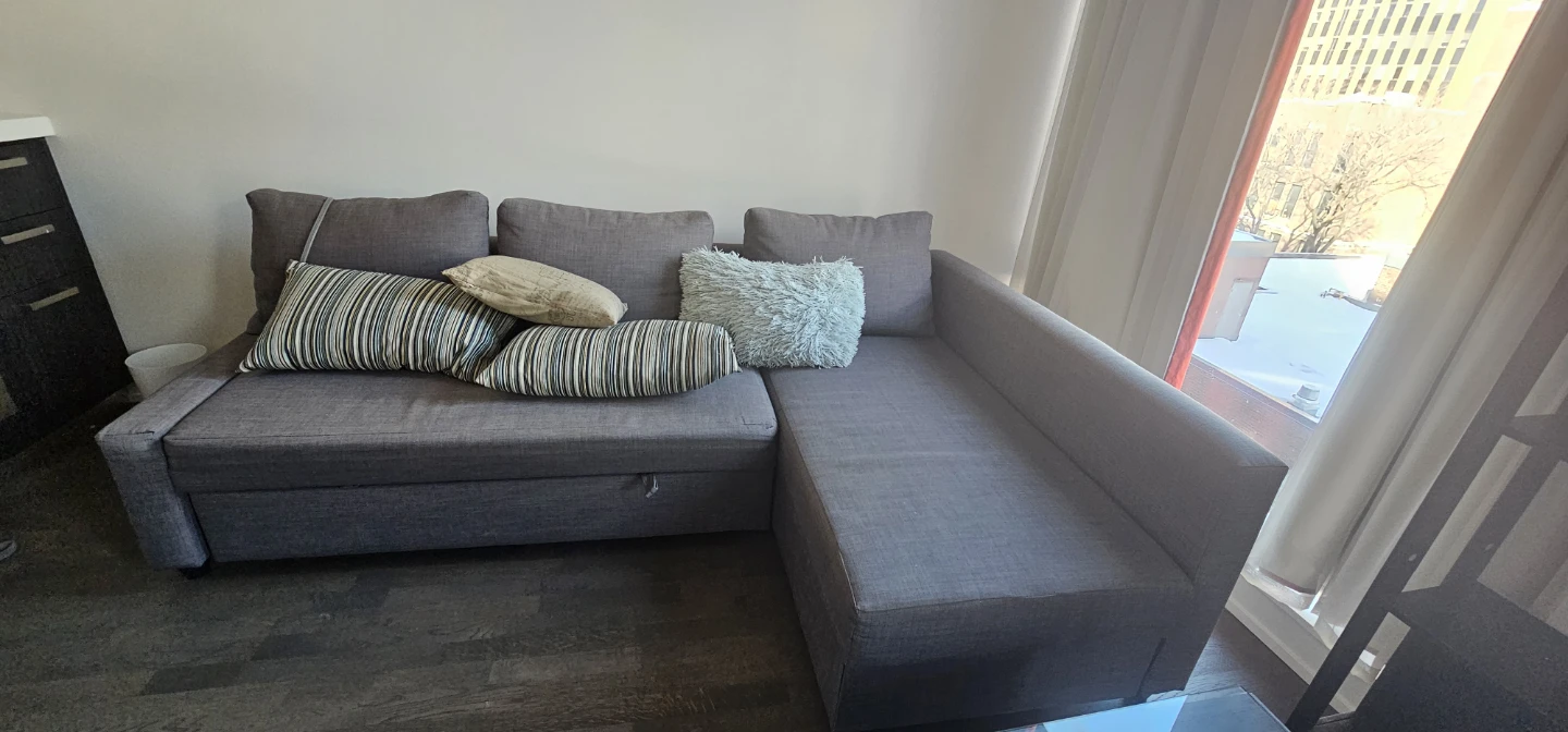 Couch /pull out bed with L Chaise