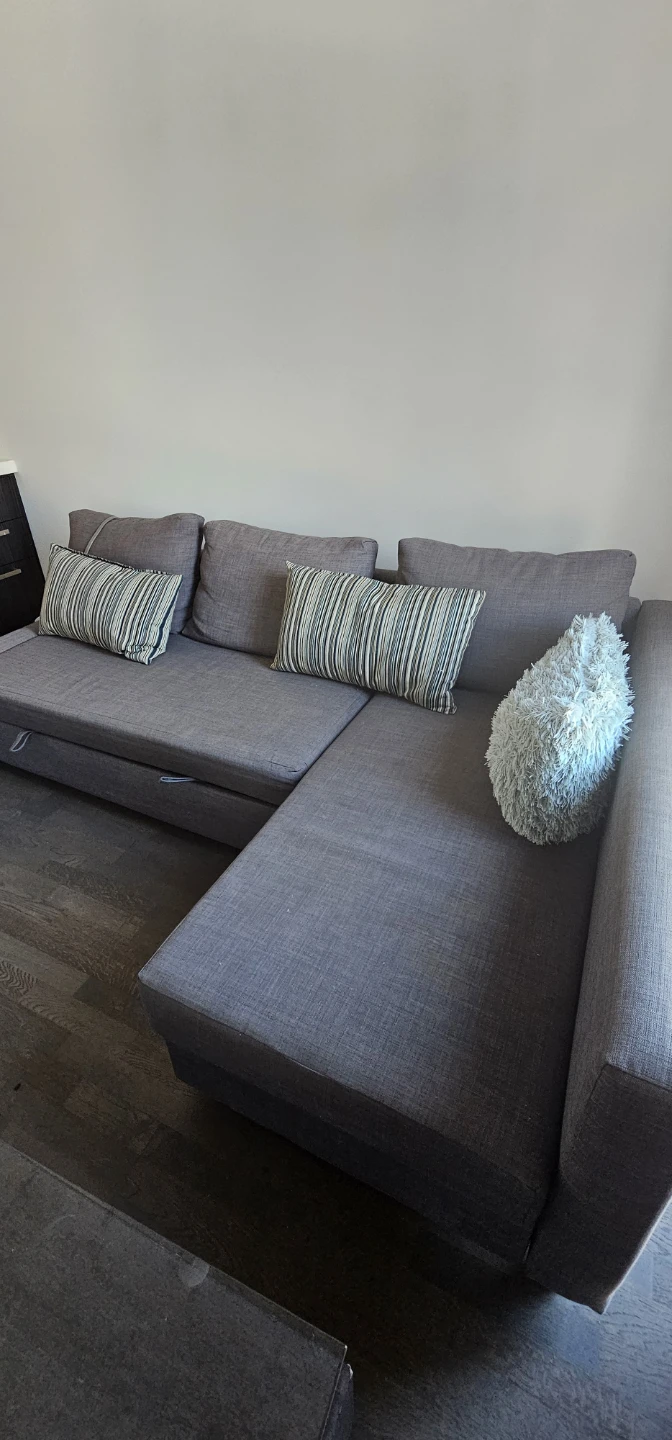 Couch /pull out bed with L Chaise - photo 2