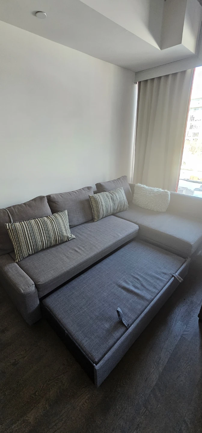 Couch /pull out bed with L Chaise - photo 3