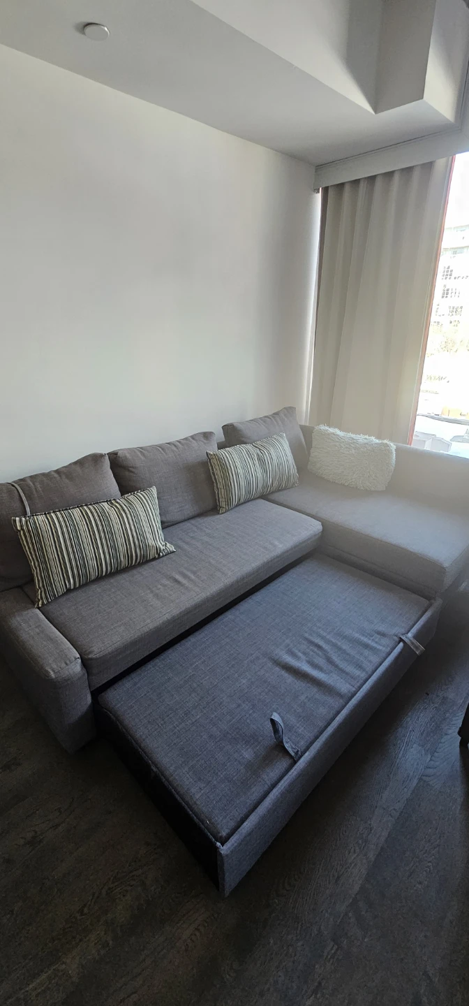Couch /pull out bed with L Chaise - photo 5