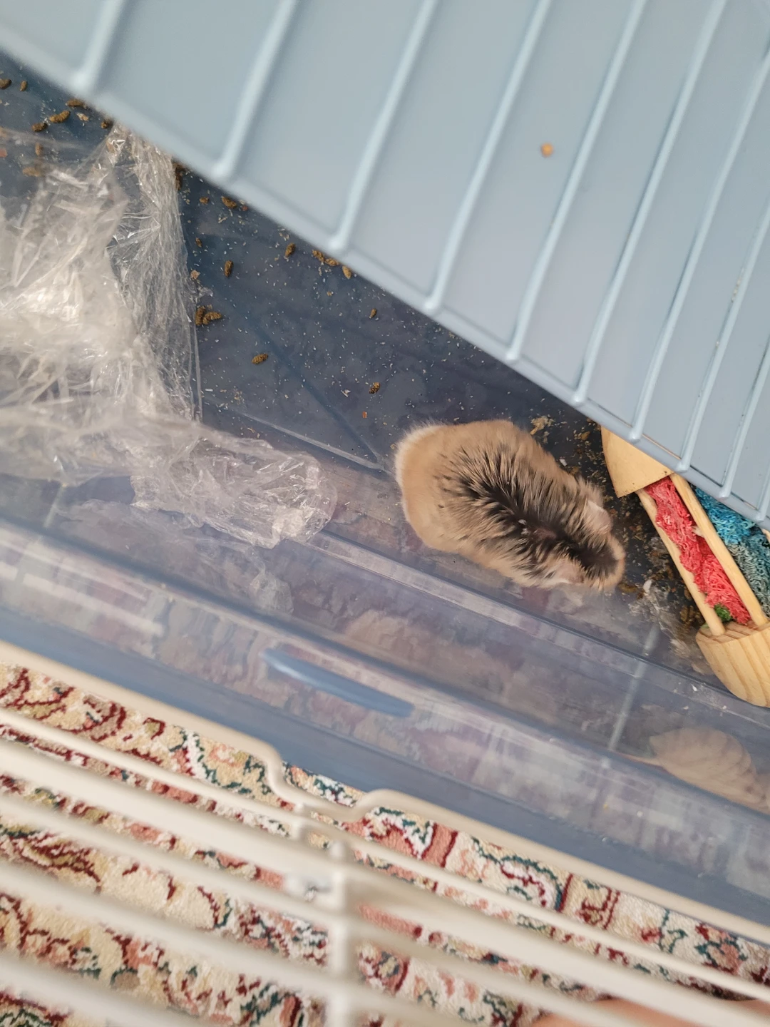 Hamster Habitat Cage Accessory