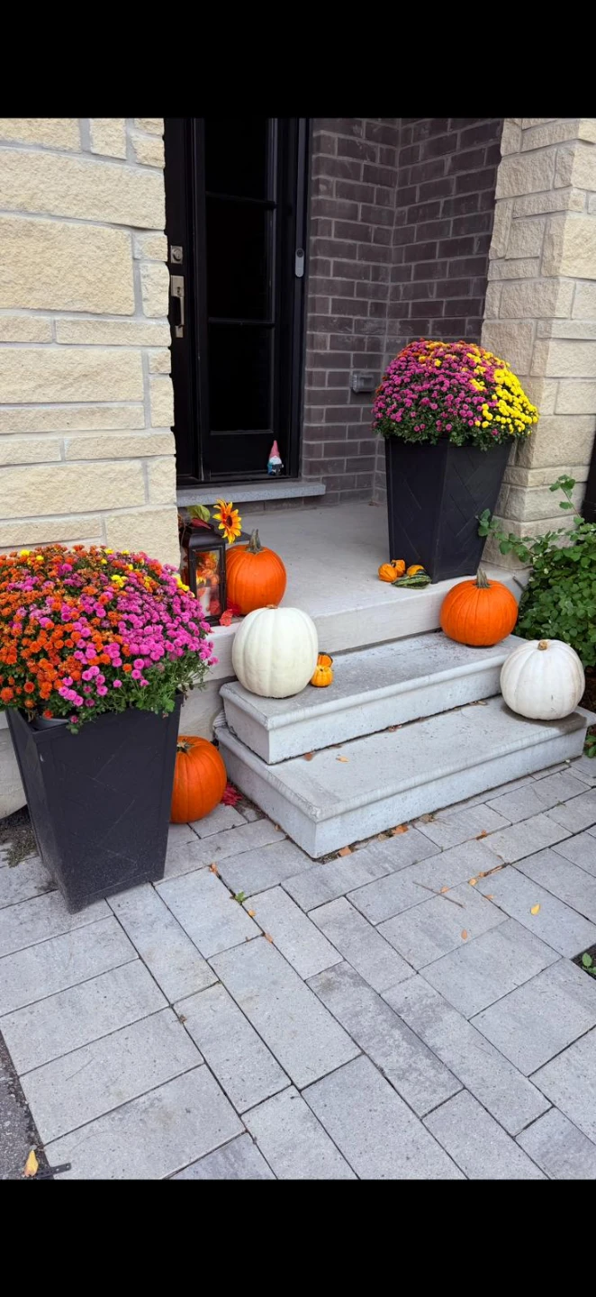 Outdoor Planters
