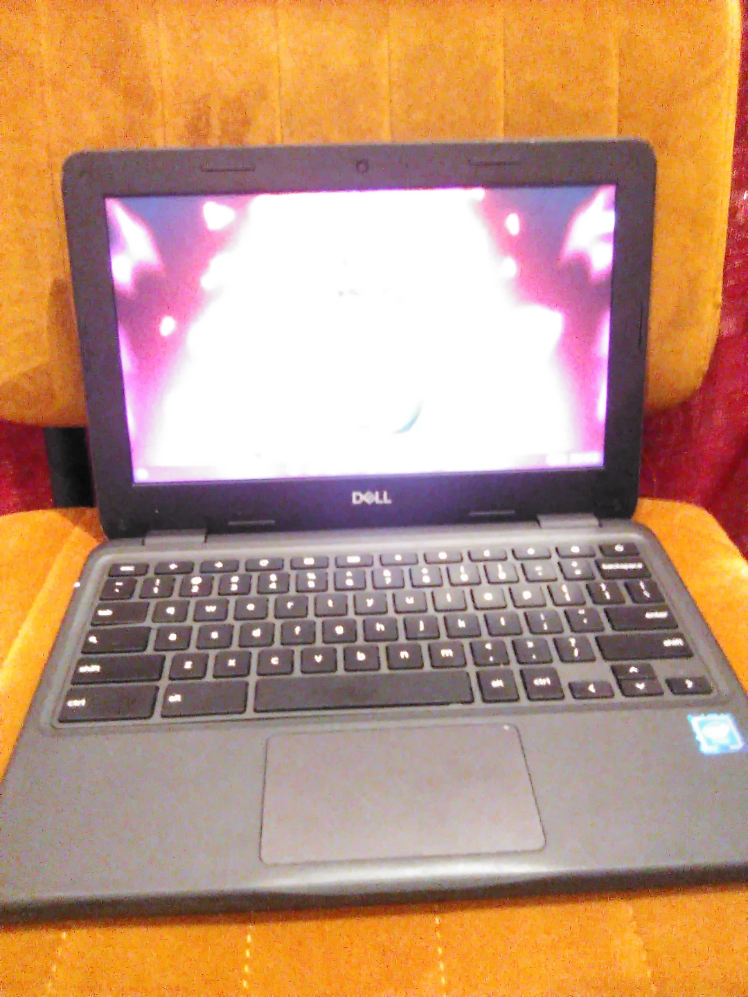 Dell Chromebook 3100 Laptop - photo 2