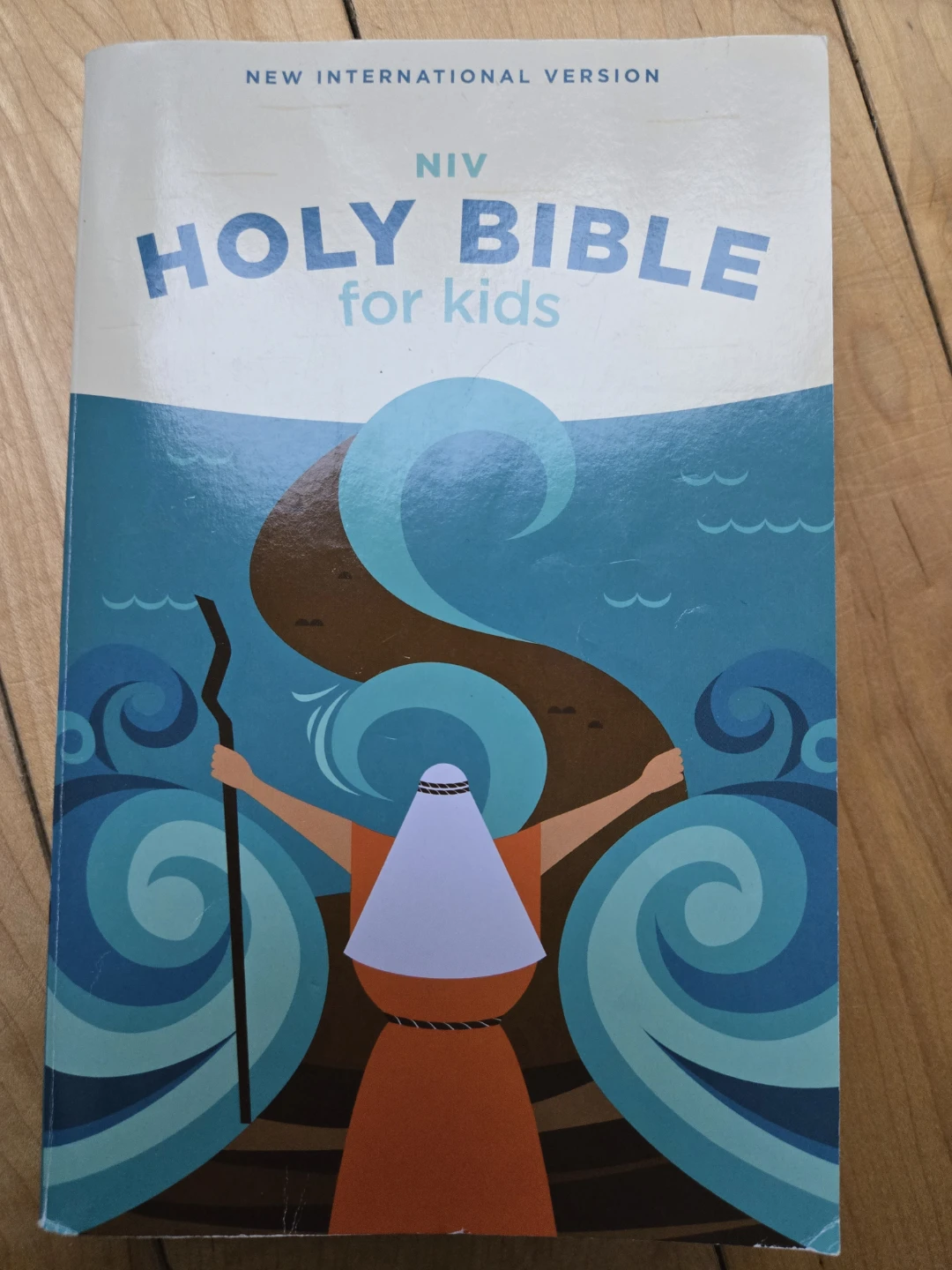 NIV Holy Bible for Kids - New International Version