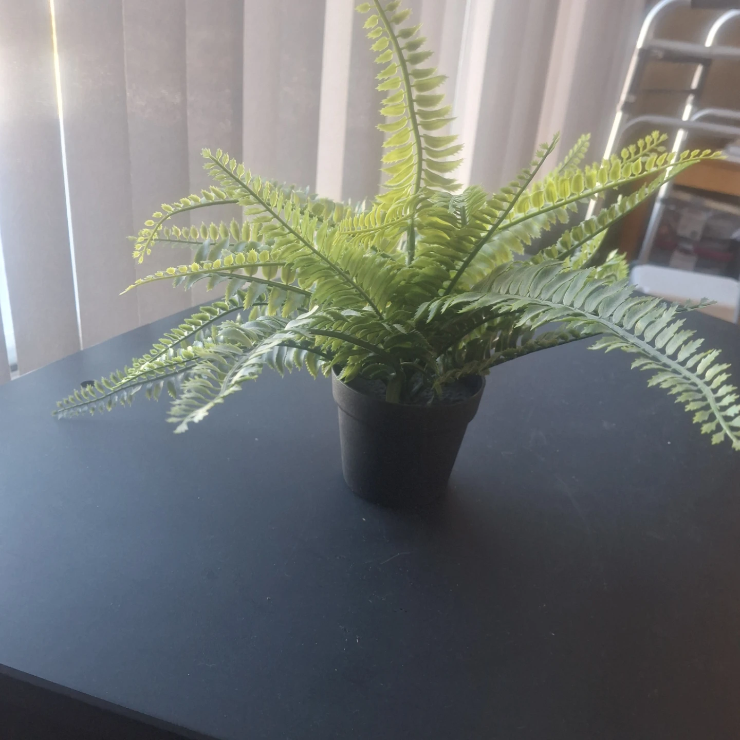 IKEA FEJKA Artificial Plant new - photo 2