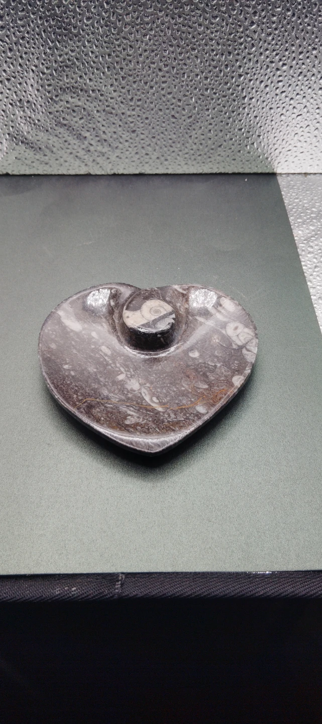 Heart Shaped orthoceras Ammounit fossil Stone Dish