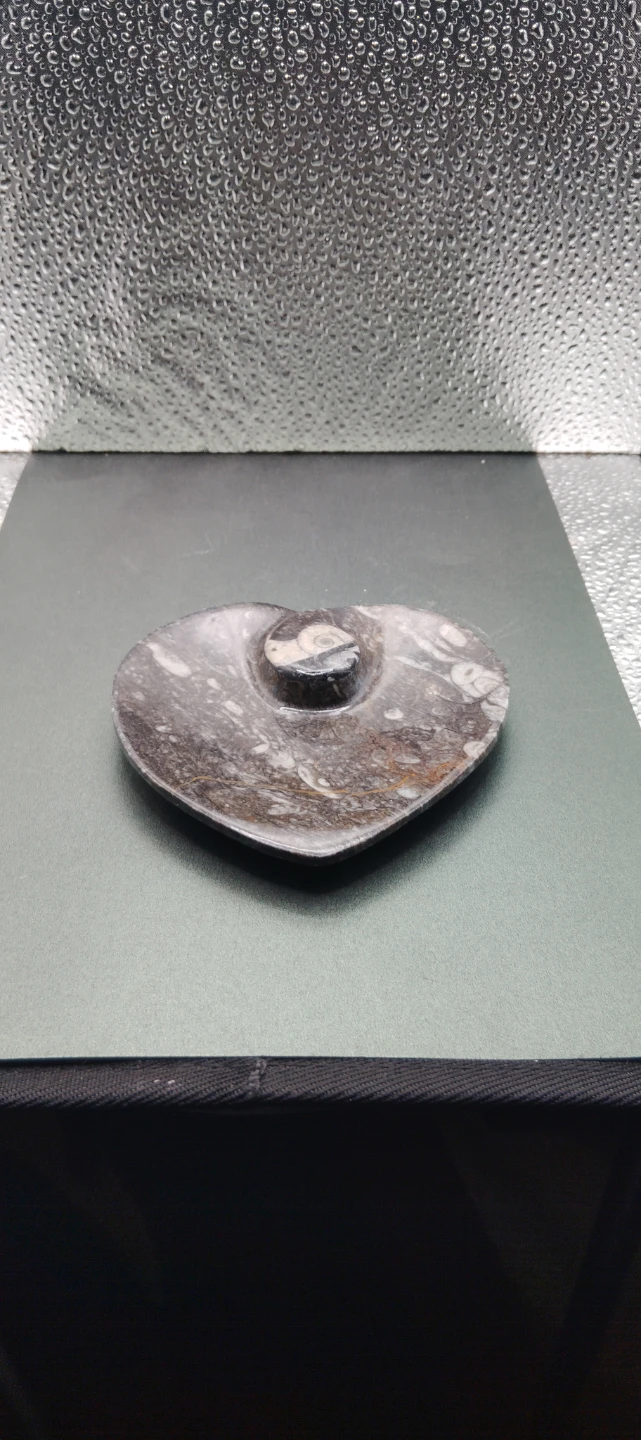 Heart Shaped orthoceras Ammounit fossil Stone Dish - photo 2