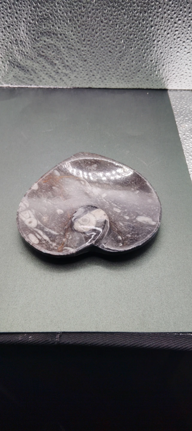 Heart Shaped orthoceras Ammounit fossil Stone Dish - photo 5