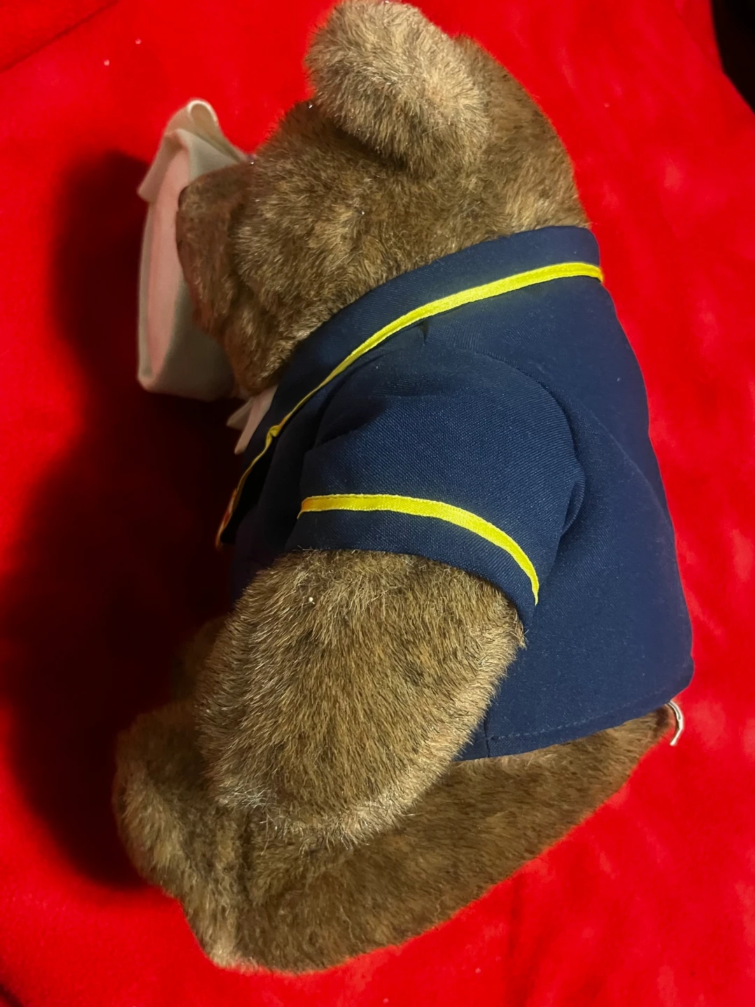 Gund “Paws Academy” teddy bear (Don Mills+Eglinton) - photo 3