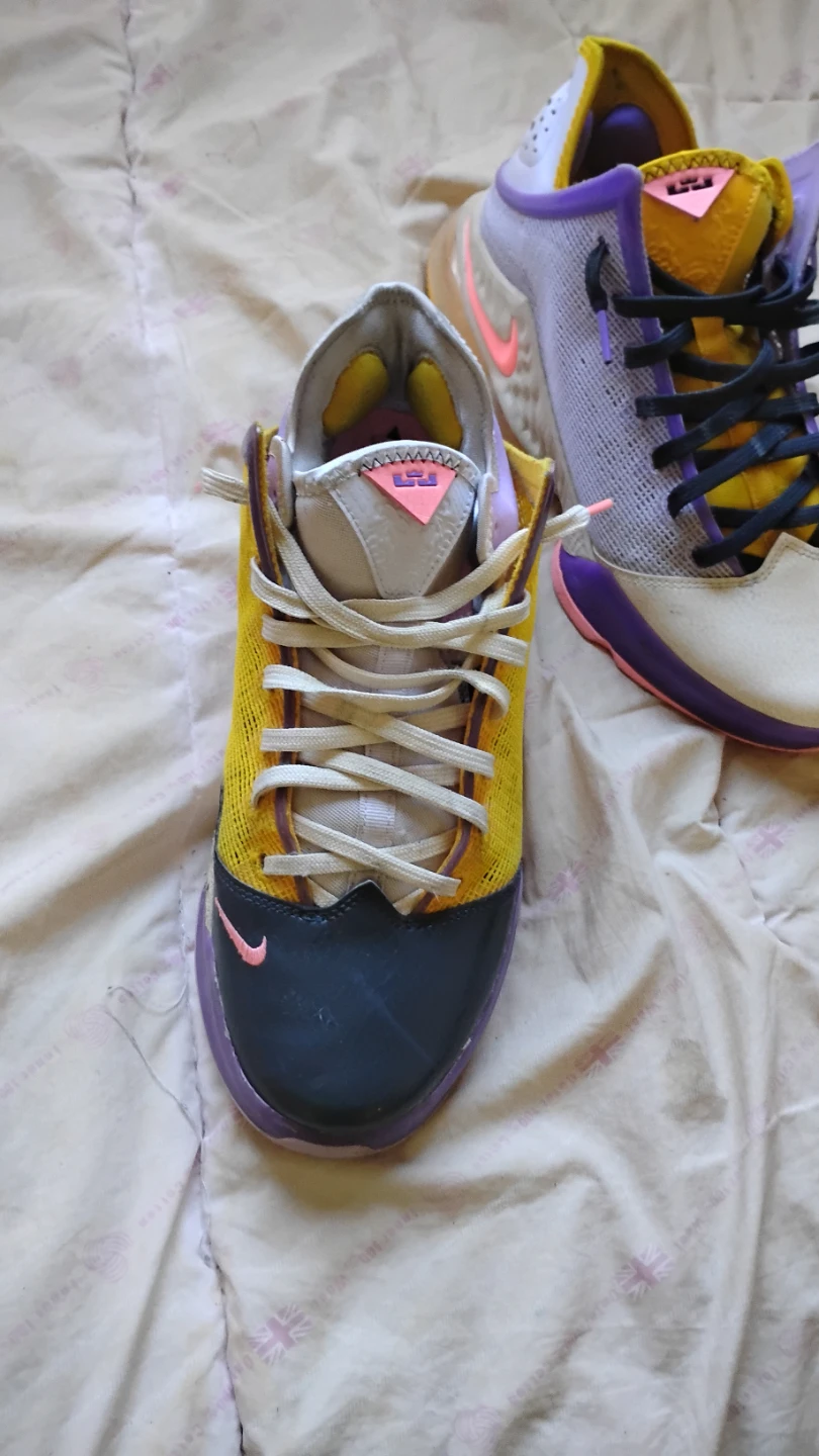 Nike LeBron 19 mismatch Basketball Shoes