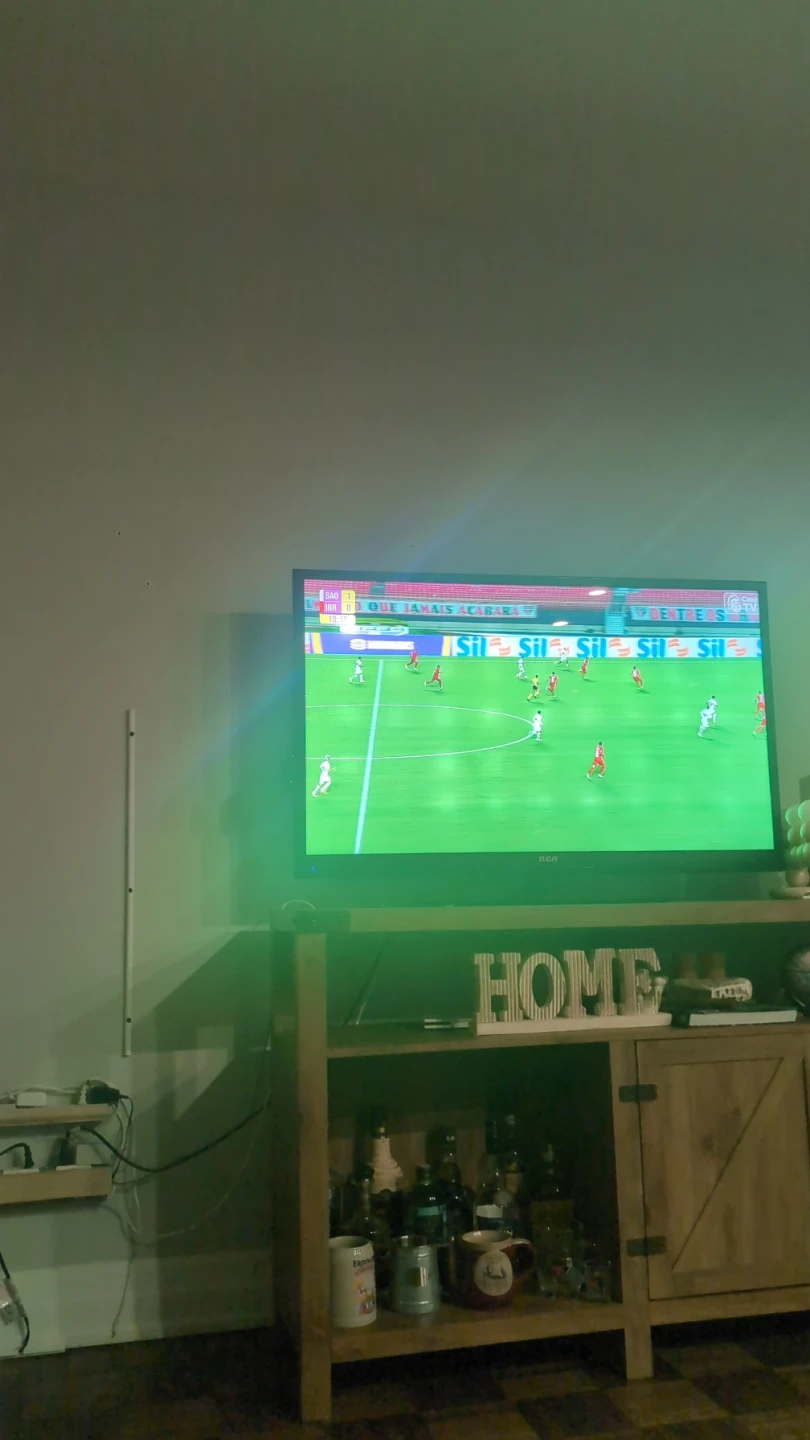 RCA 46 in Television