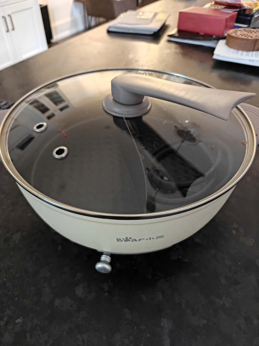 Bear Electric Hot Pot