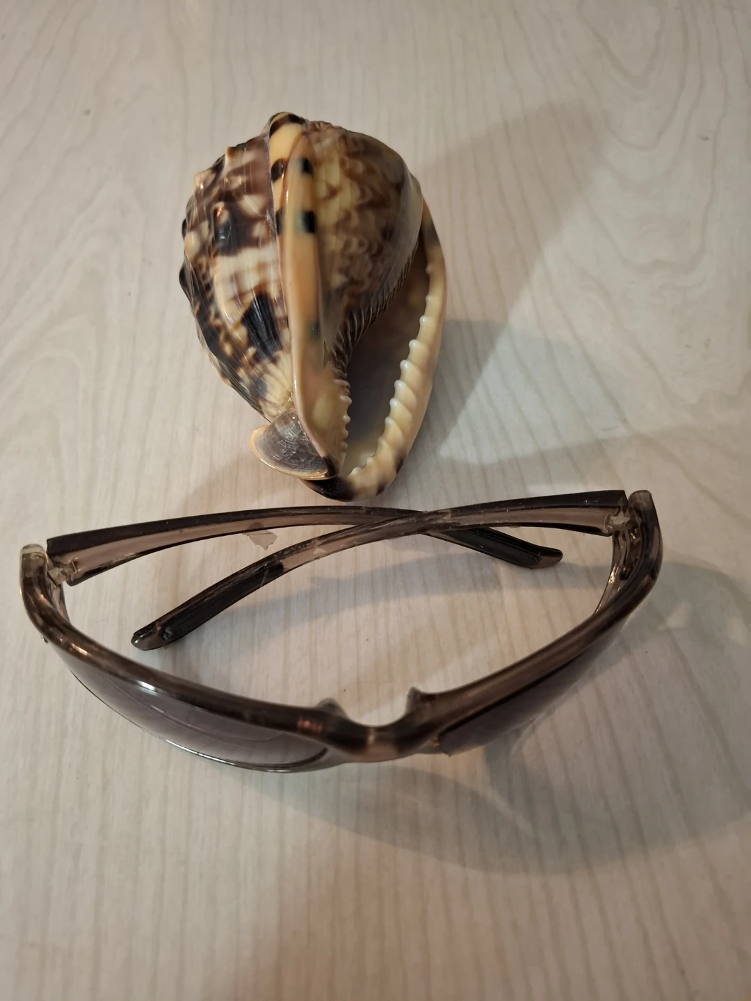 Decorative sea Shell - photo 2